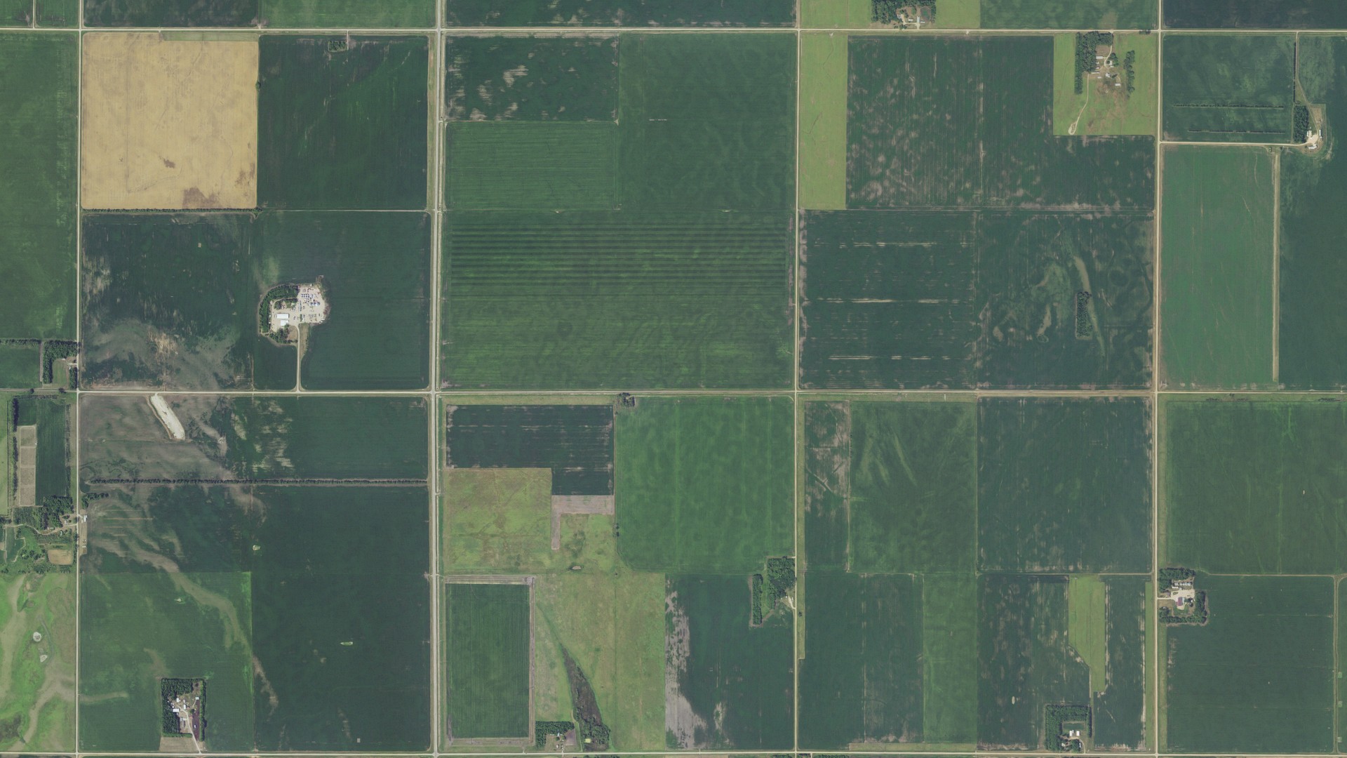 Aerial view of land around Taylor, Minnesota