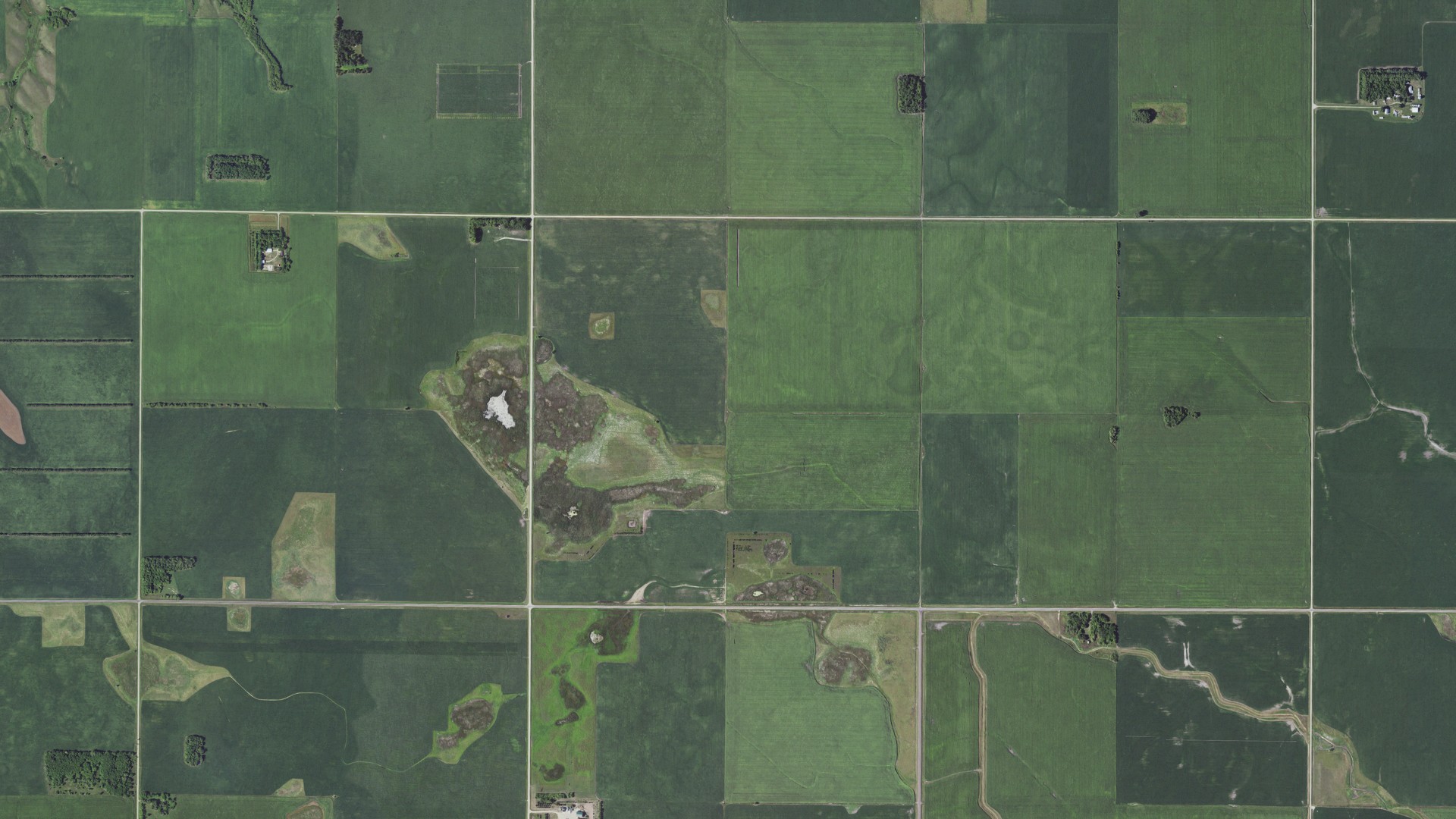Aerial view of land around Walls, Minnesota