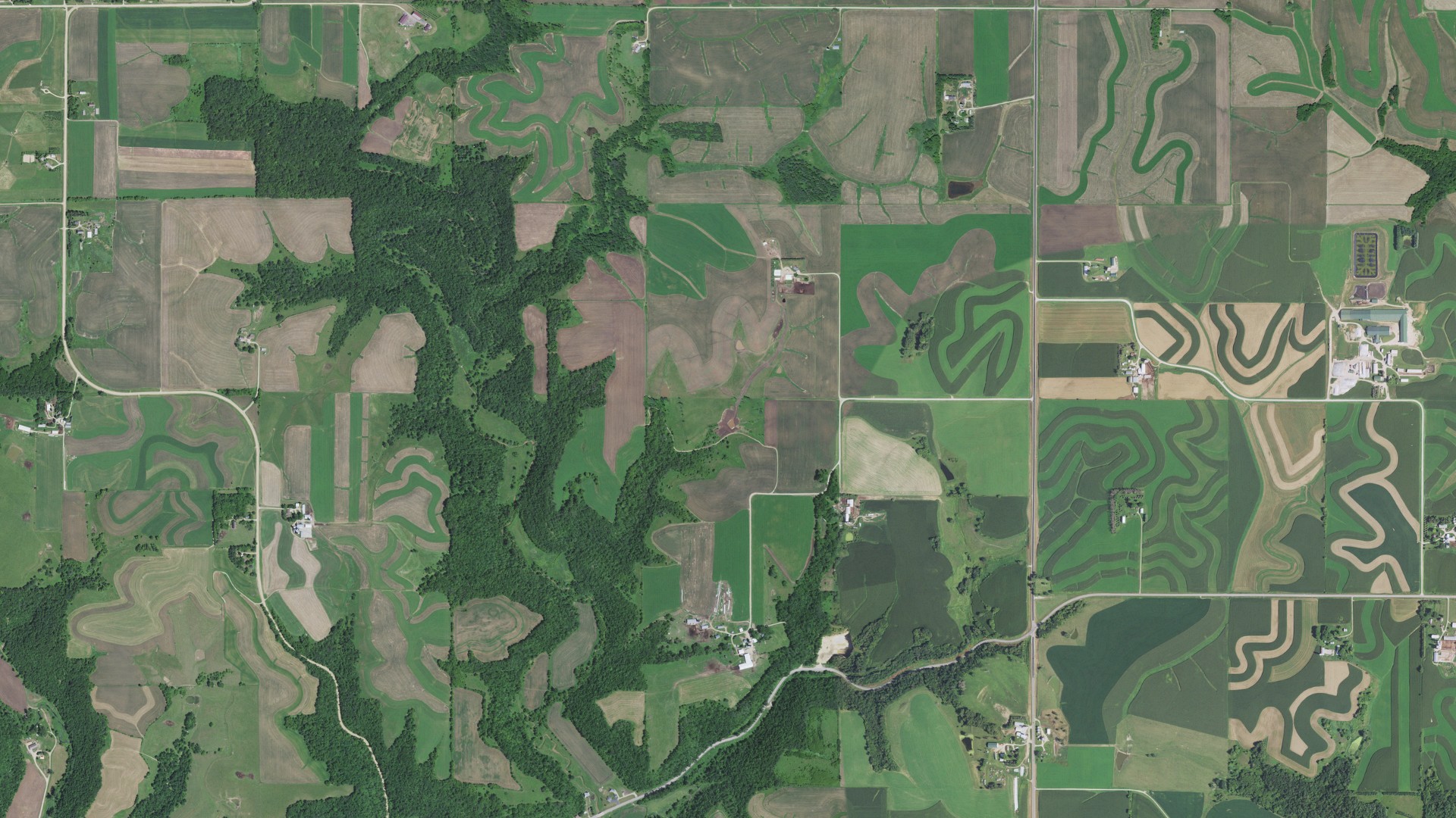 Natural-color aerial photograph of land around West Albany, Minnesota