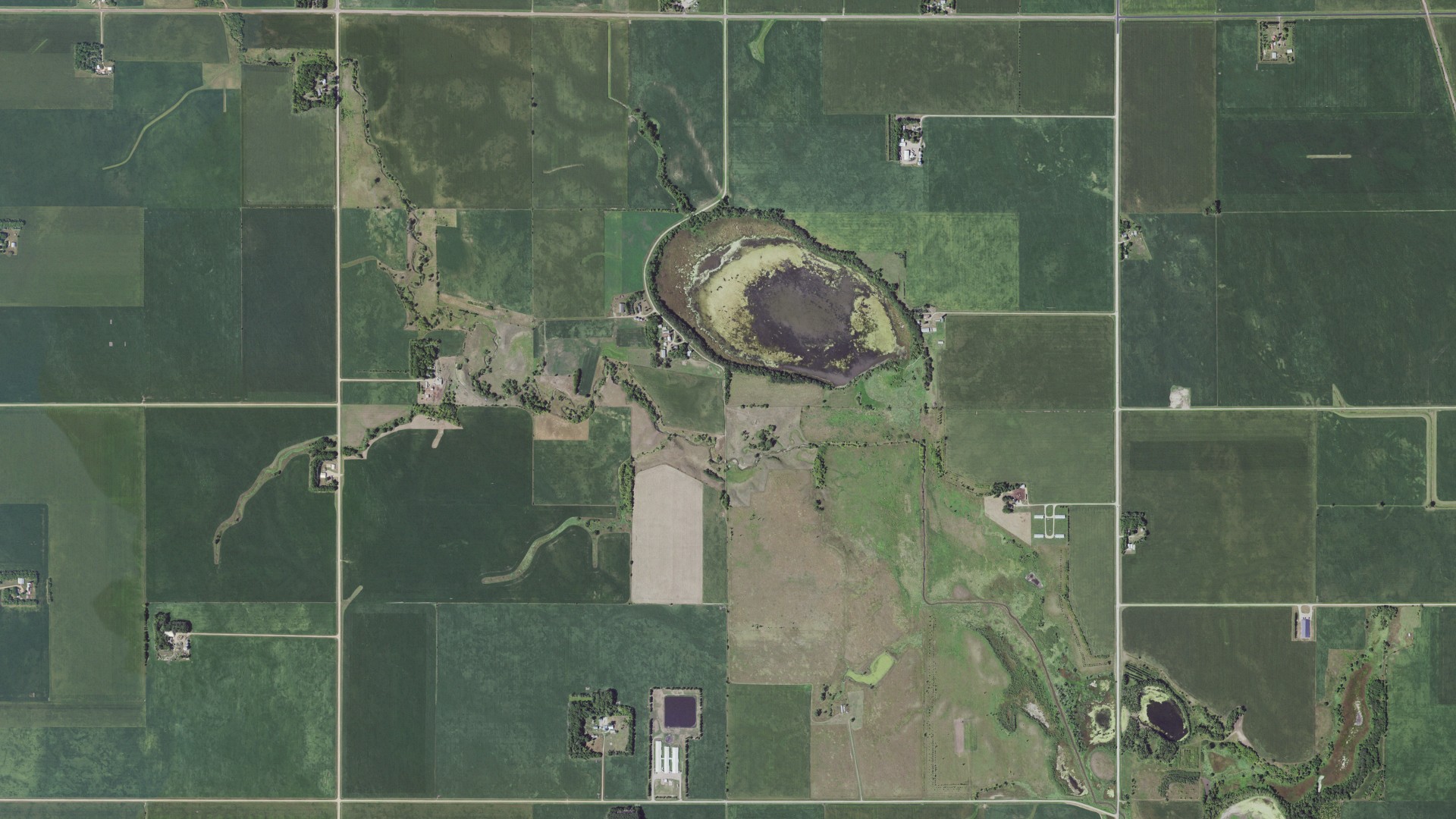 Natural-color aerial photograph of land around Odin, Minnesota