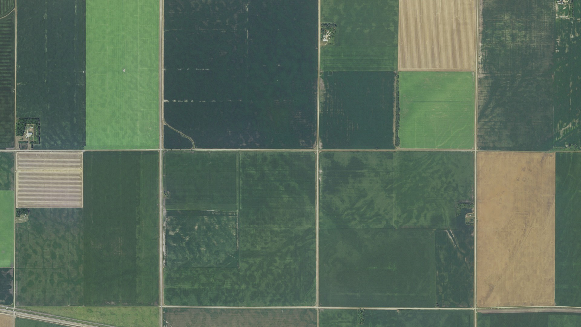 Aerial view of land around Campbell, Minnesota