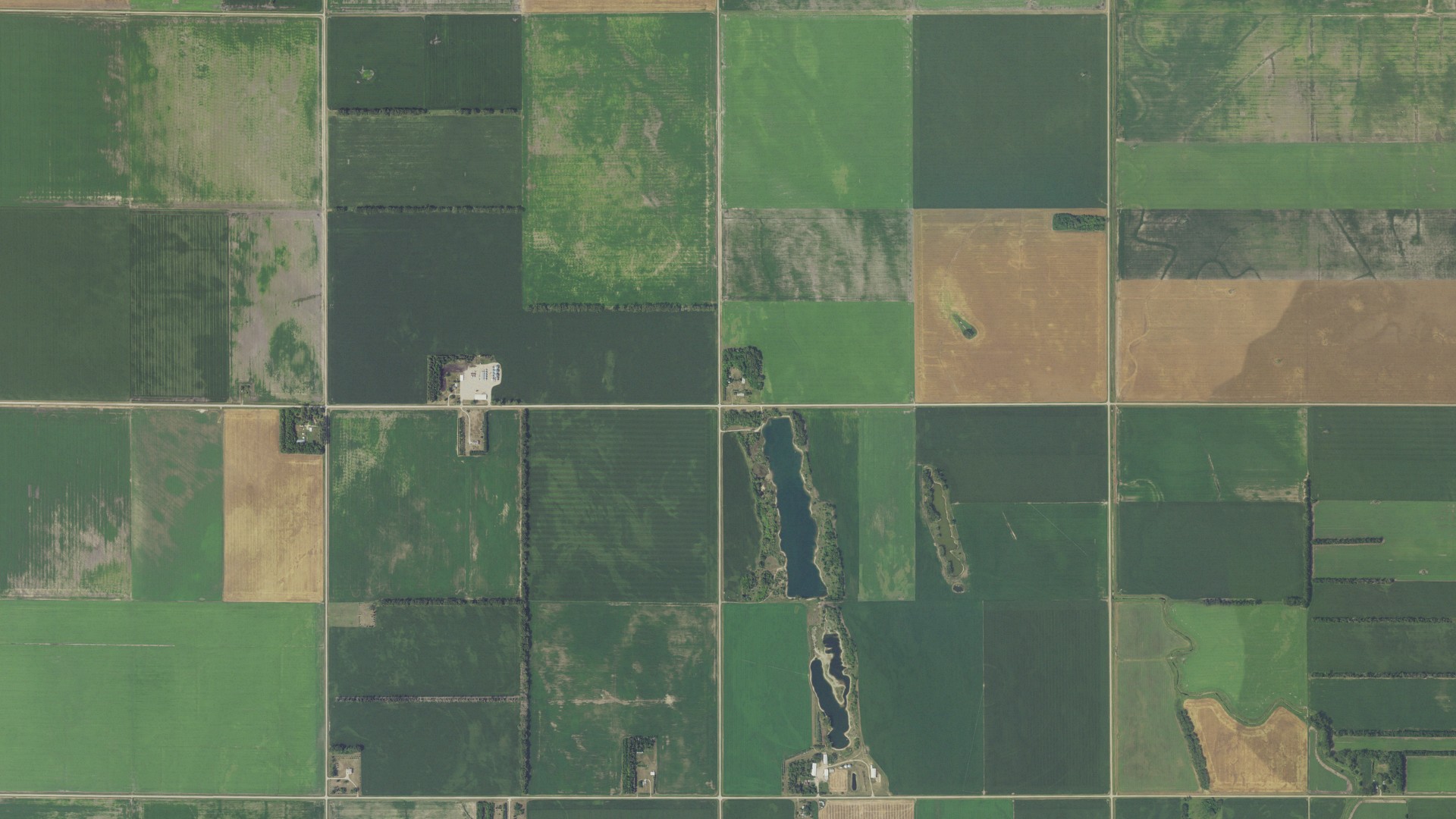 Natural-color aerial photograph of land around Deerhorn, Minnesota