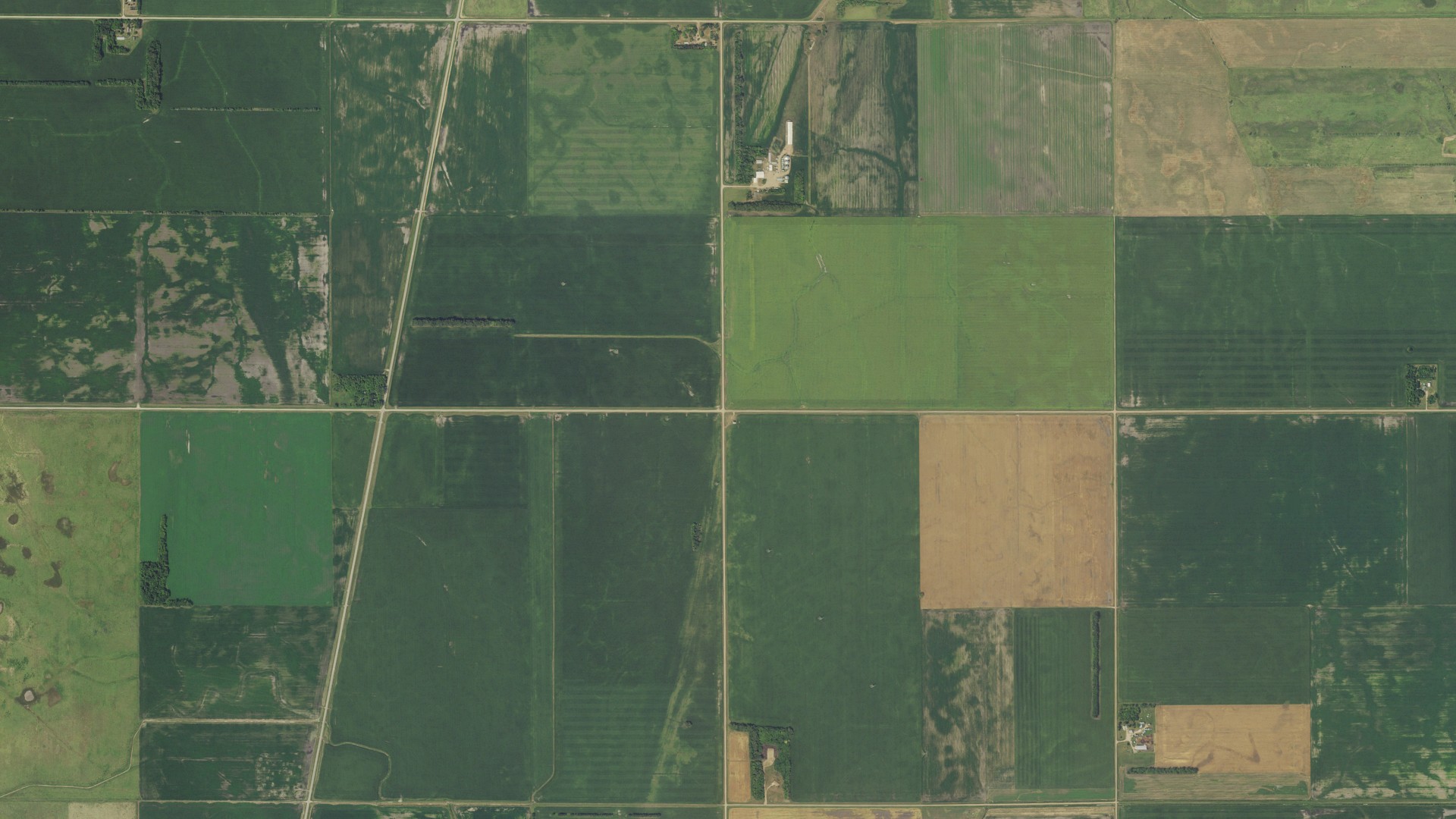 Aerial view of land around Manston, Minnesota
