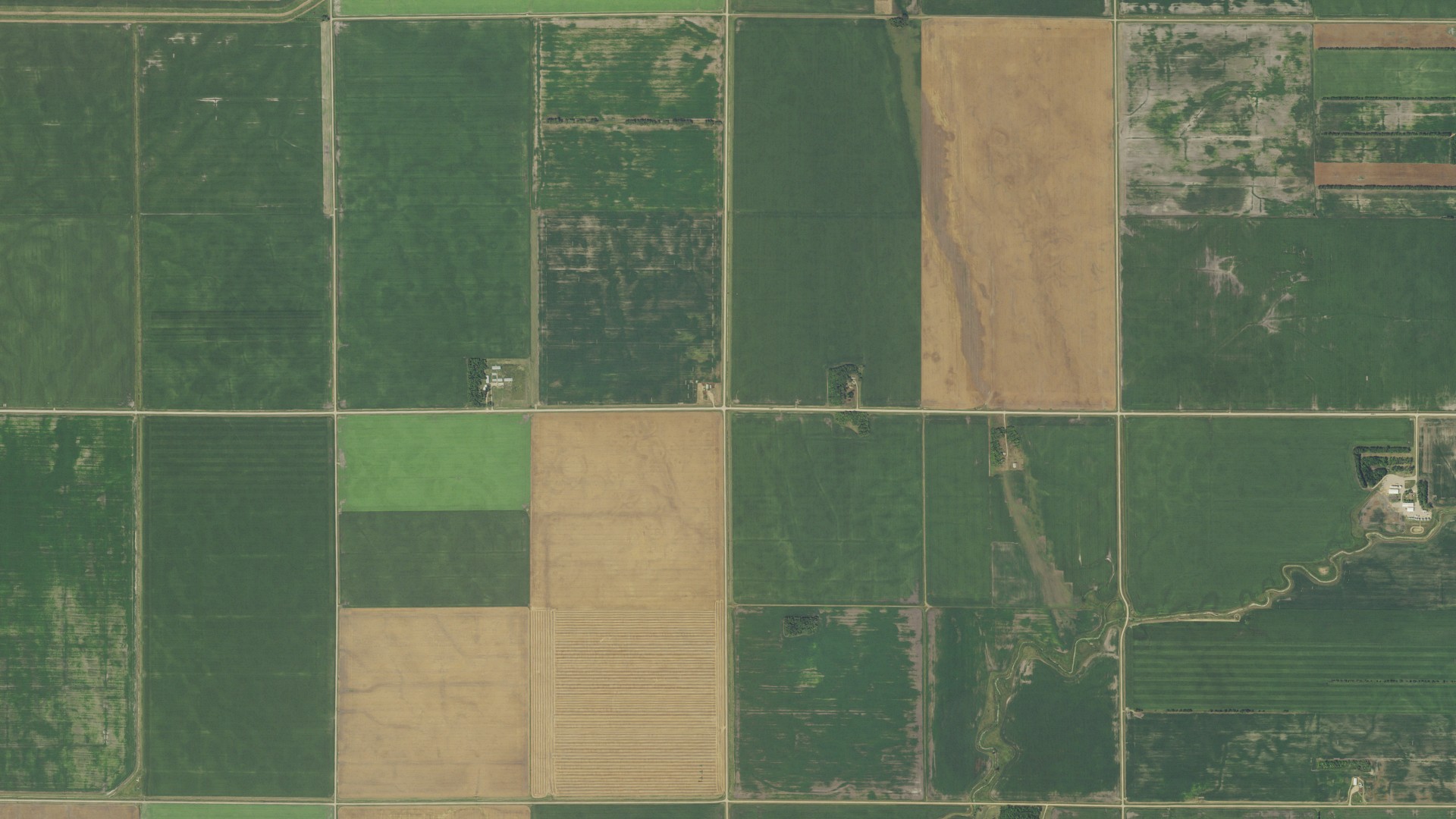 Natural-color aerial photograph of land around Meadows, Minnesota