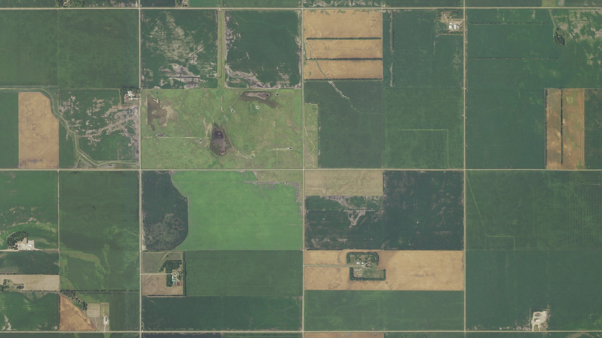 Natural-color aerial photograph of land around Mitchell, Minnesota