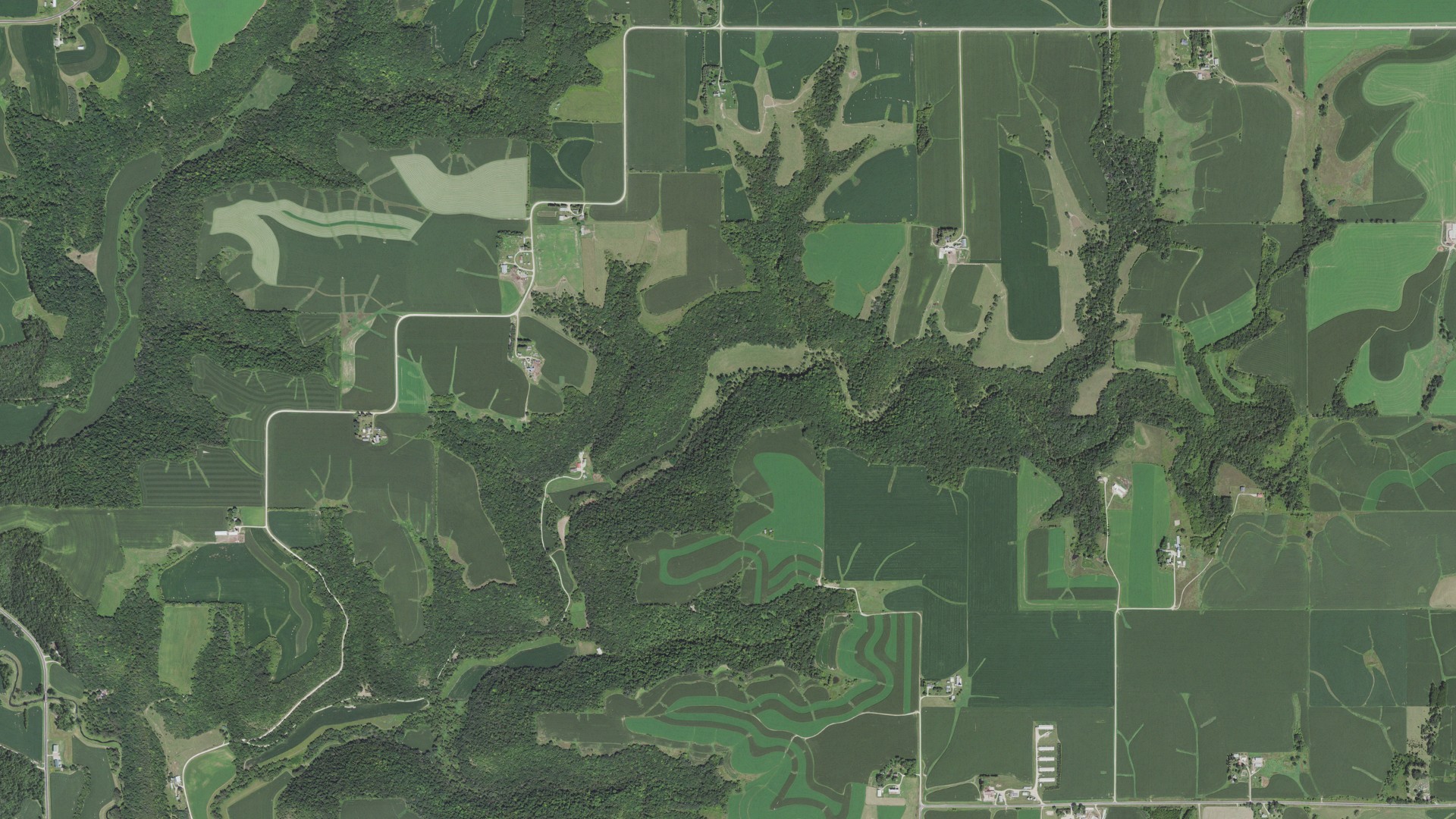 Aerial view of land around Hart, Minnesota