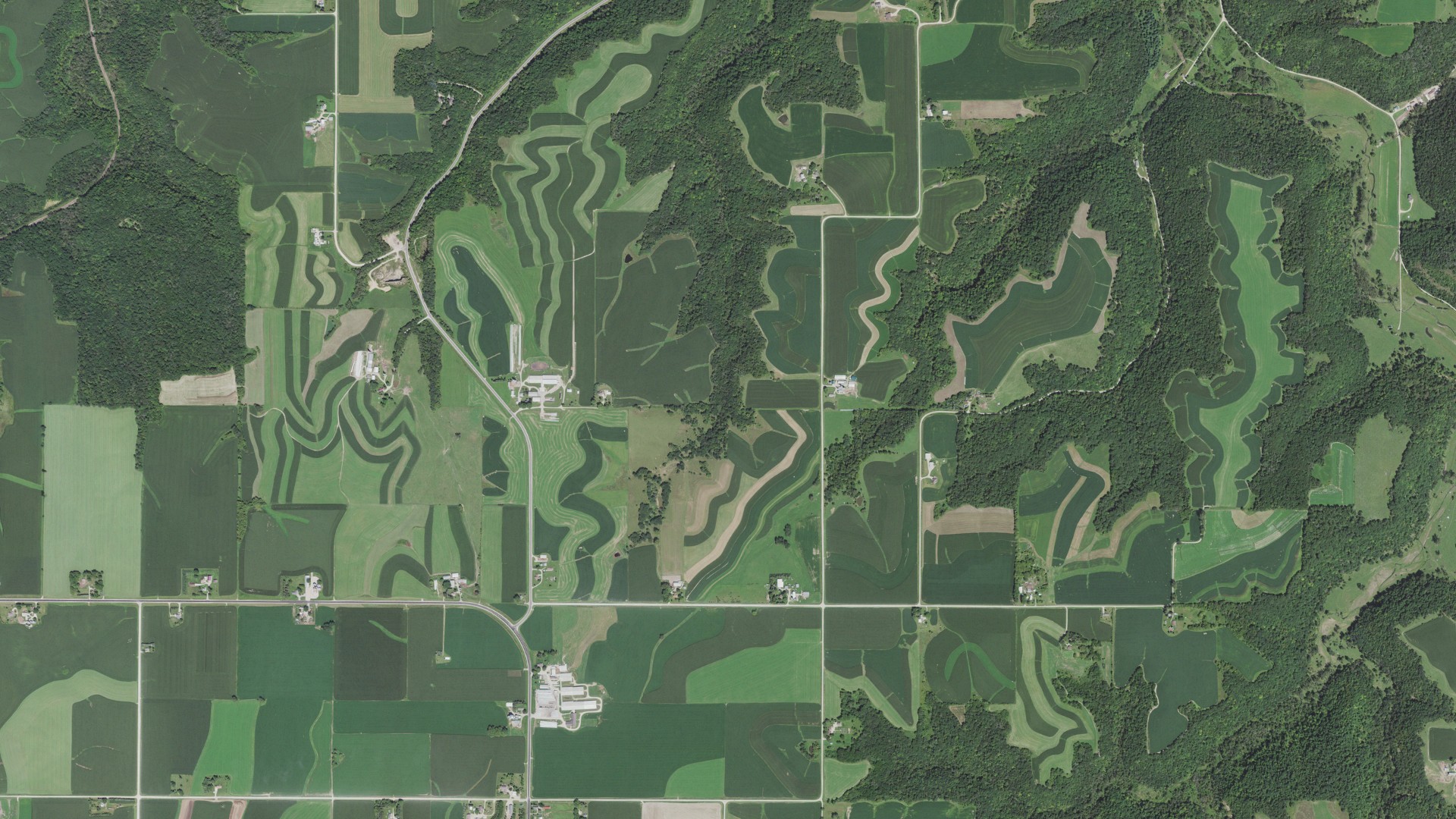 Natural-color aerial photograph of land around Warren, Minnesota