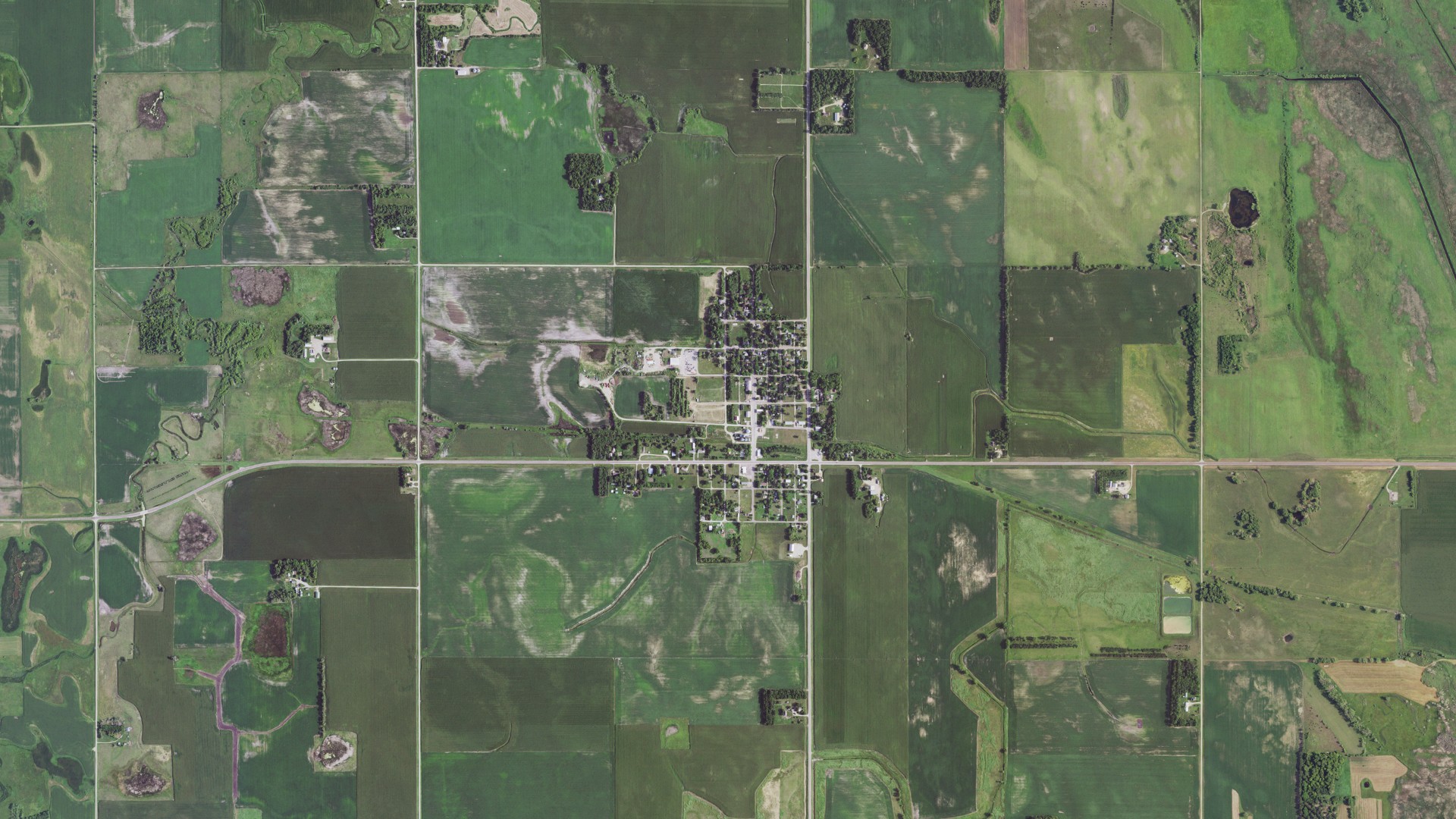 Natural-color aerial photograph of land around Marietta, Minnesota