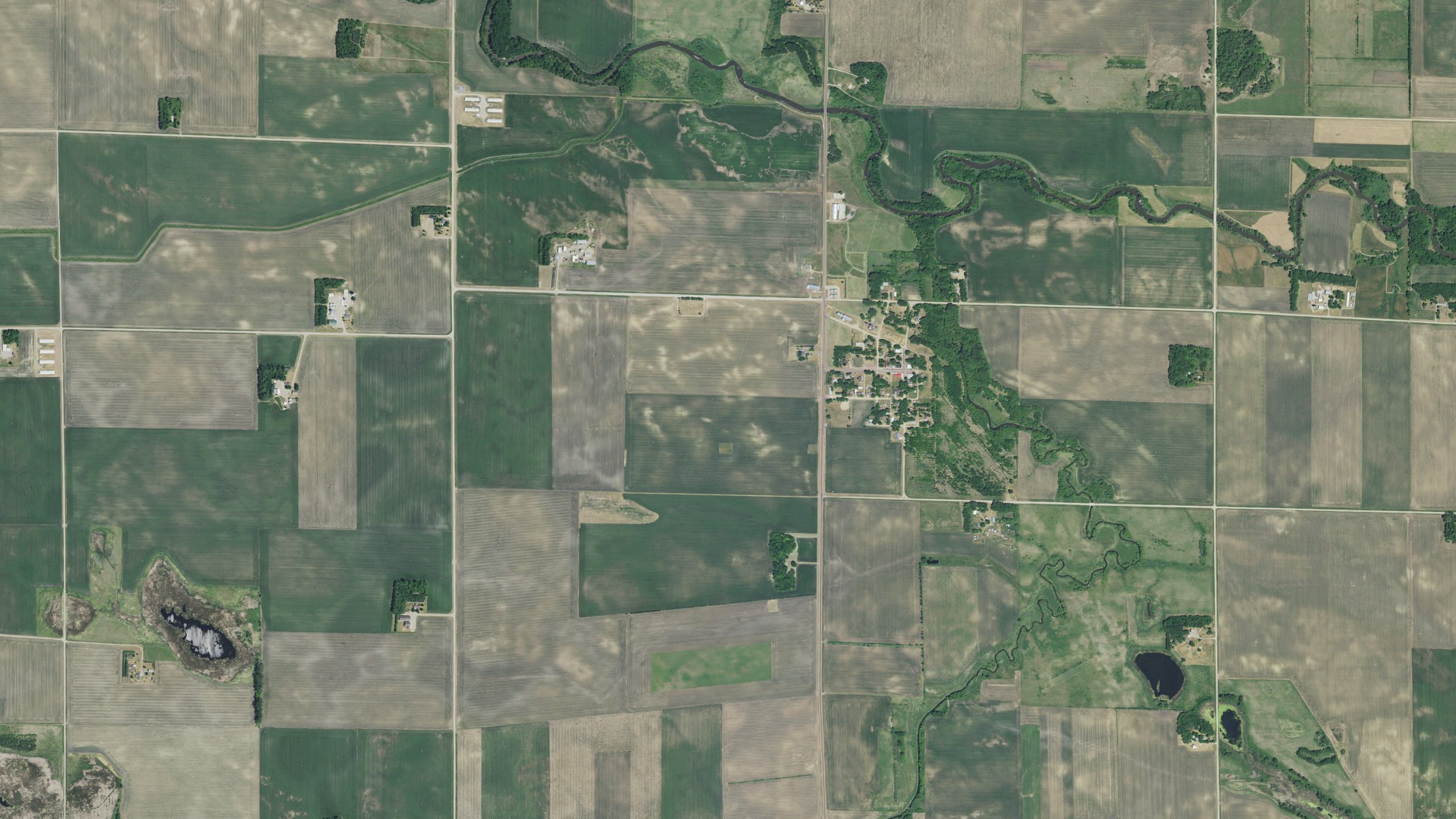 Natural-color aerial photograph of land around Seaforth, Minnesota