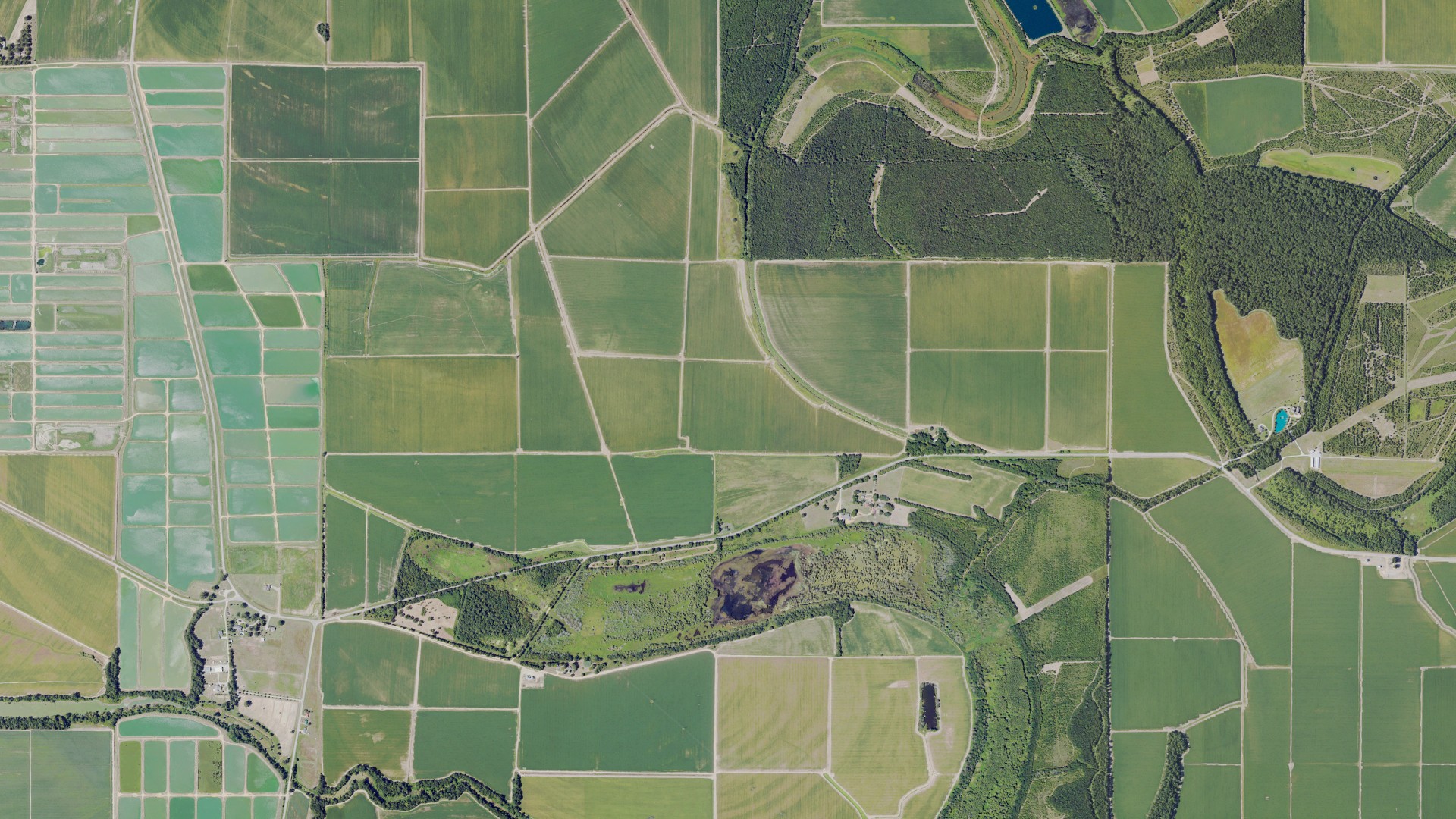 Natural-color aerial photograph of land around Leflore County, Mississippi