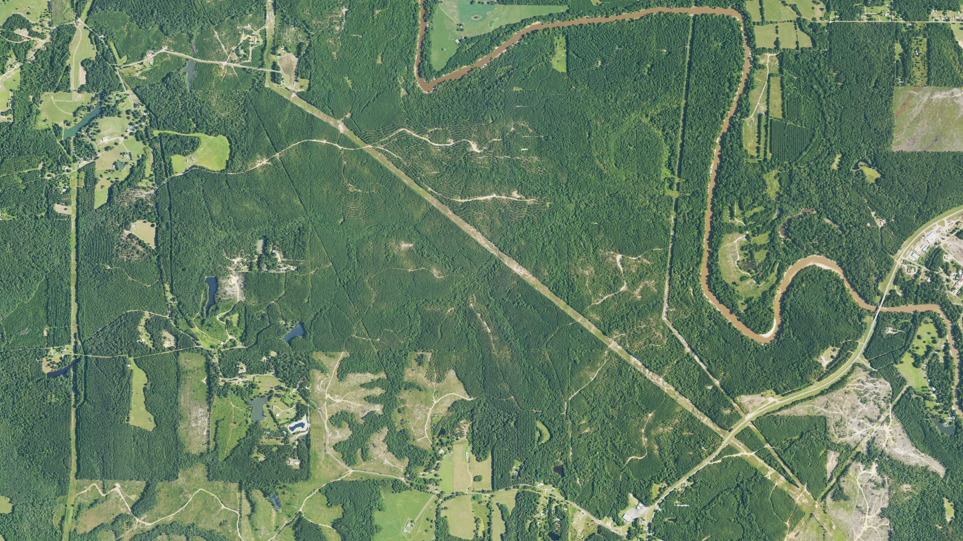 Natural-color aerial photograph of land around Wayne County, Mississippi