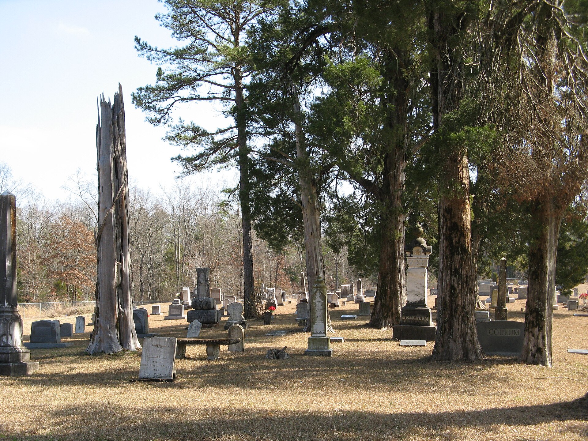 Webster County, Mississippi.