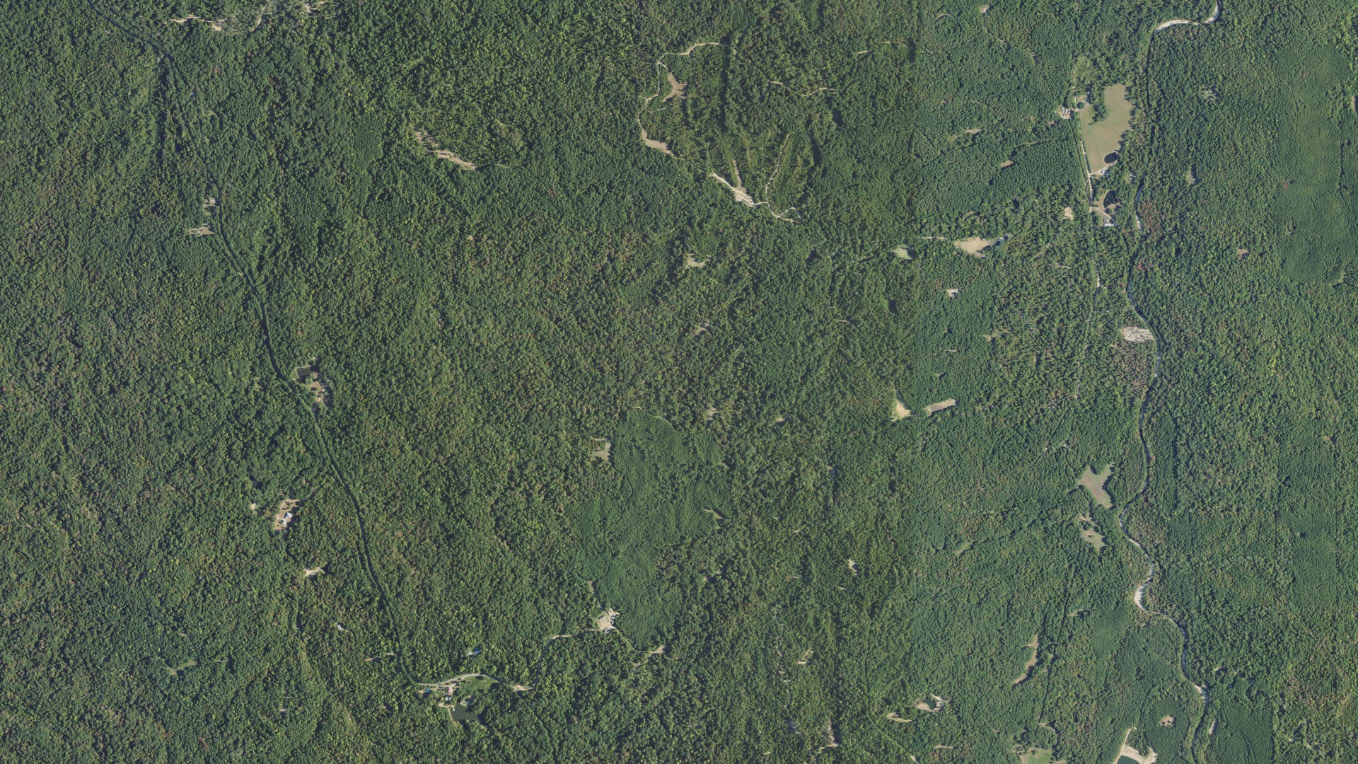 Natural-color aerial photograph of land around Wilkinson County, Mississippi