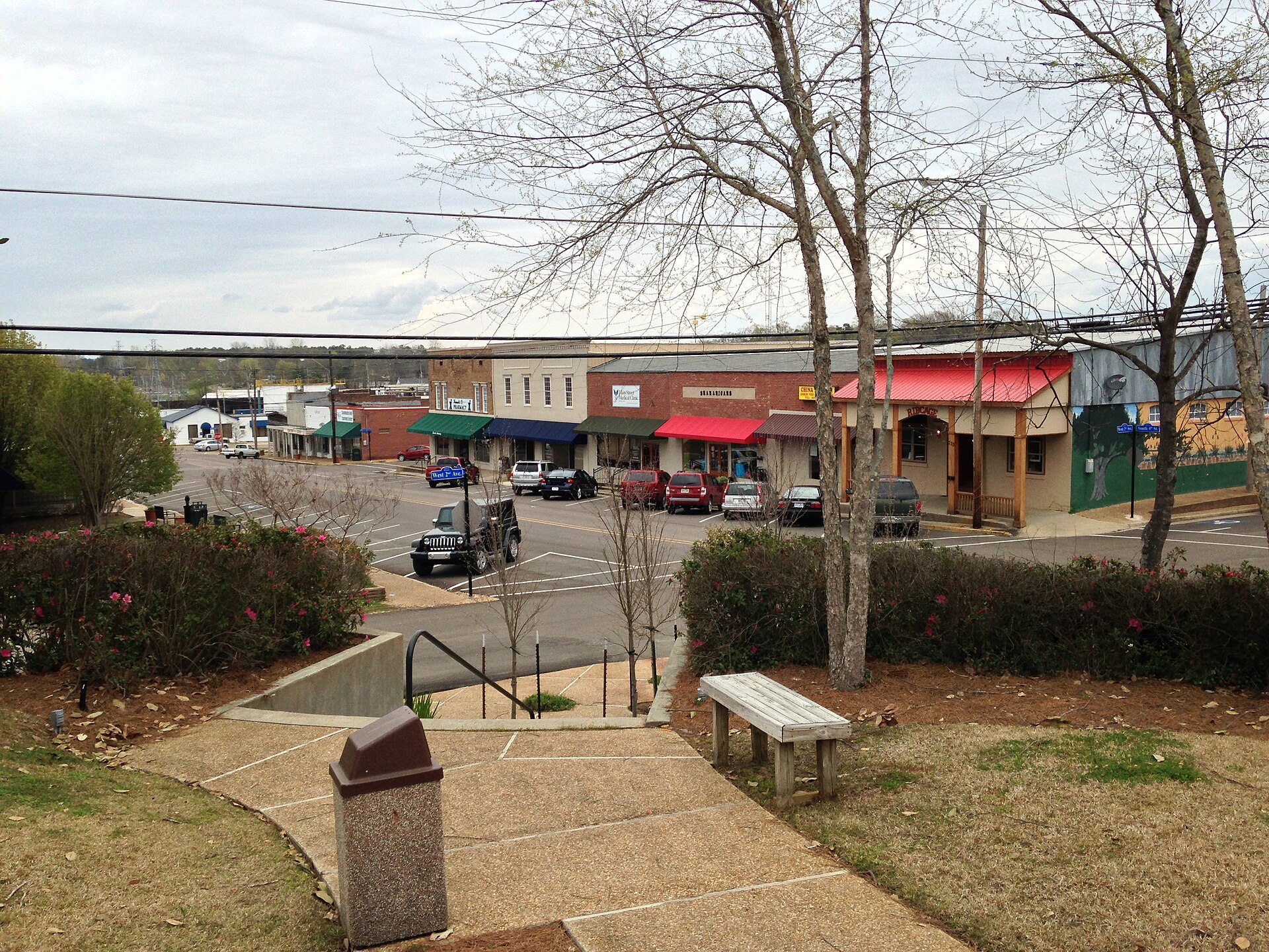 Morton, Mississippi We had dinner at the Rib Cage.