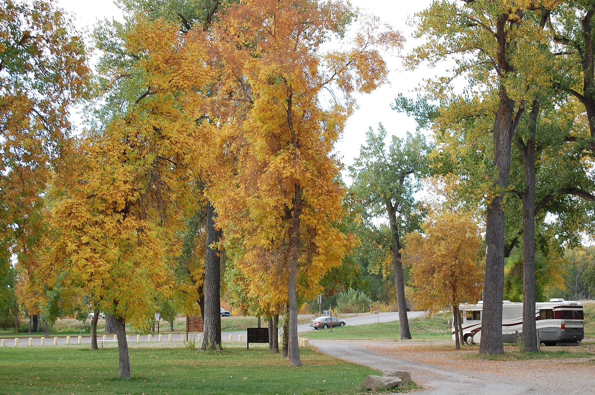 Along the Nez Perce National Historic Trail Riverfront Park, Laurel, Montana, US Forest Service photo, by Roger Peterson
