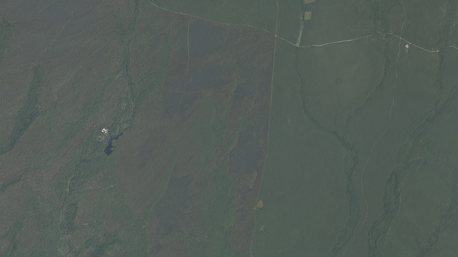 Natural-color aerial photograph of land around Bass River, New Jersey