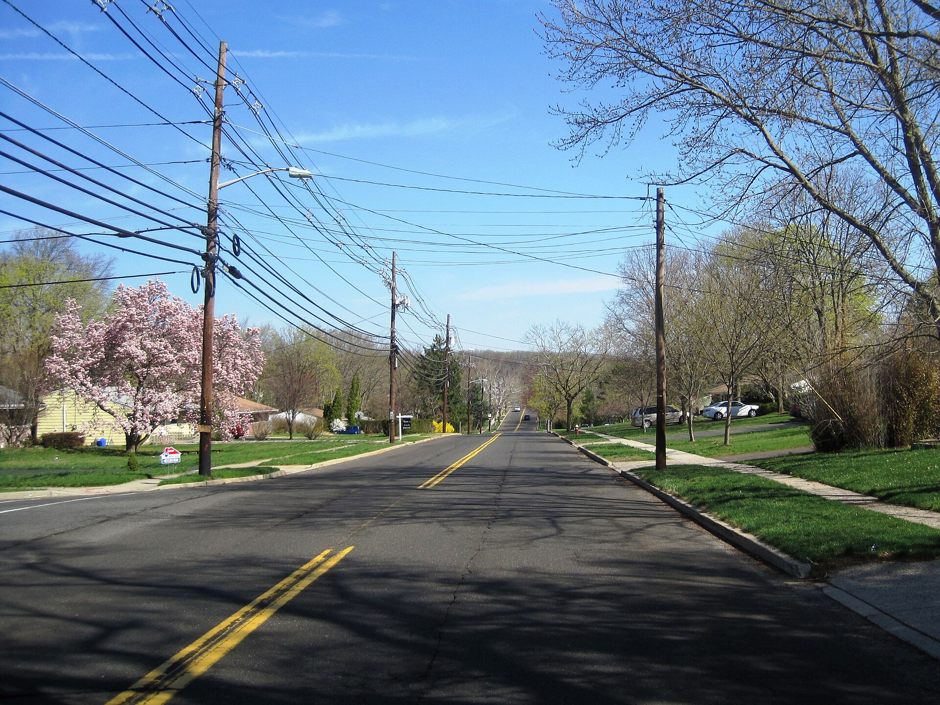 Photo of the en:census designated place of Kendall Park, New Jersey, a community within South Brunswick. Photo taken along westbound New Road.