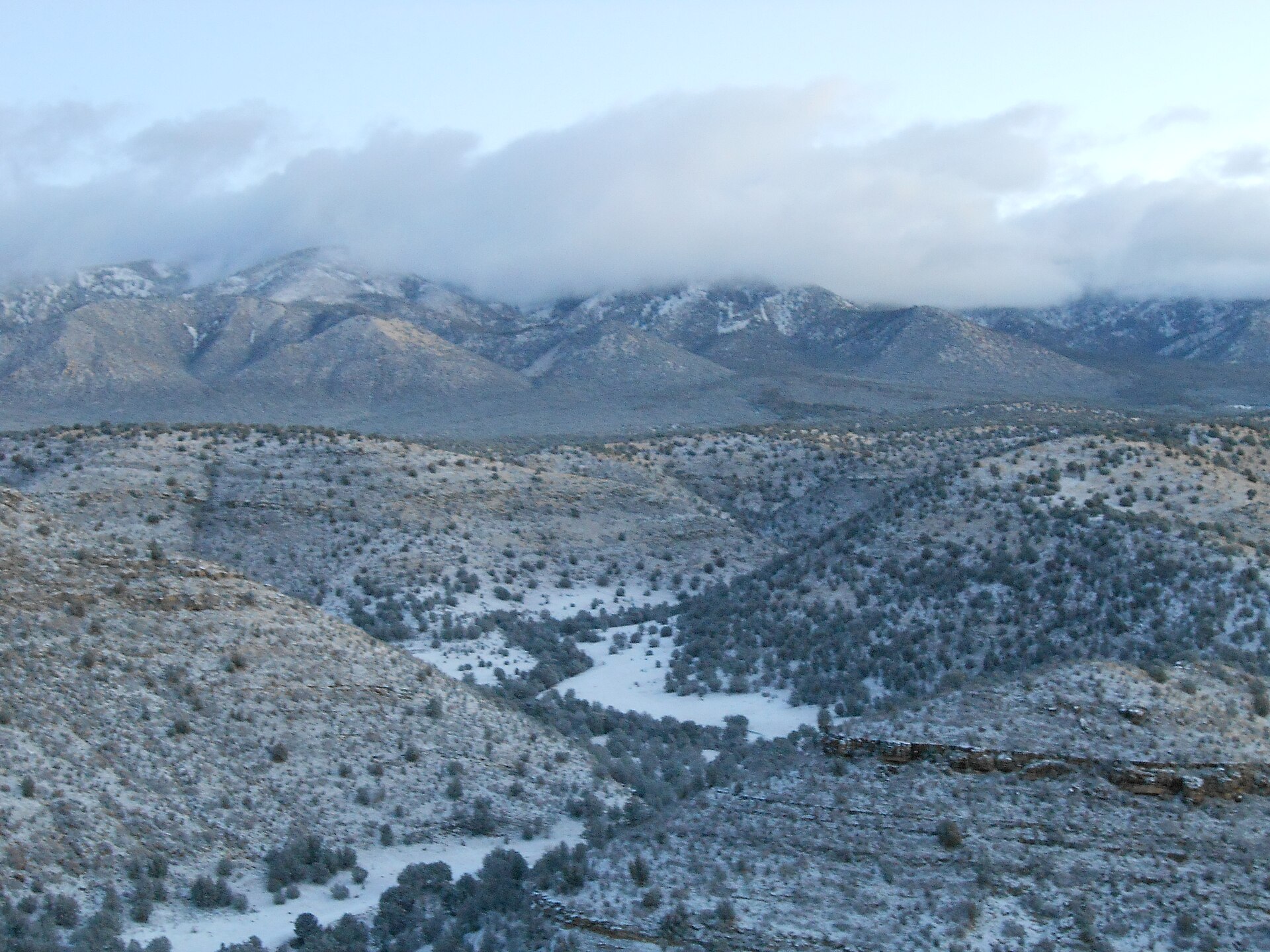 Looking North - LNF — Lincoln County, New Mexico