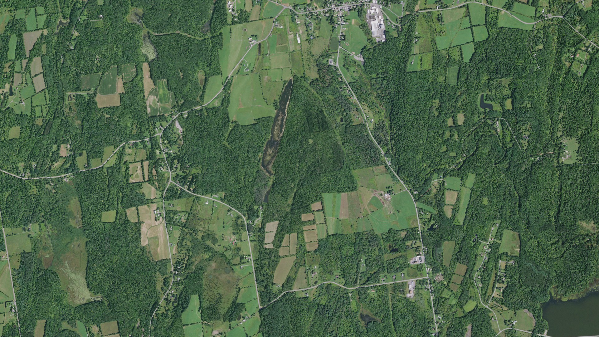 Natural-color aerial photograph of land around Westerlo, New York