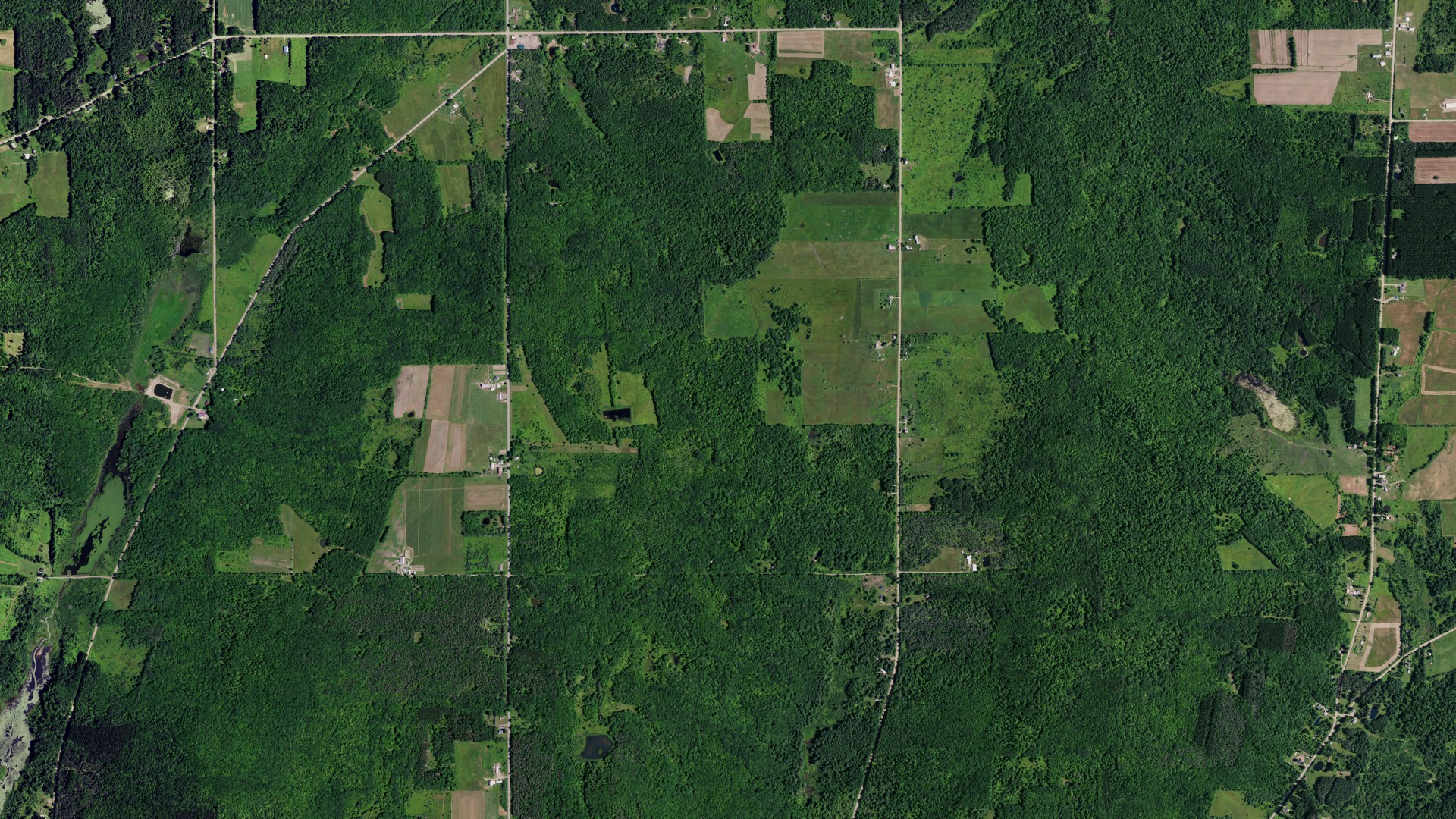 Natural-color aerial photograph of land around Allen, New York