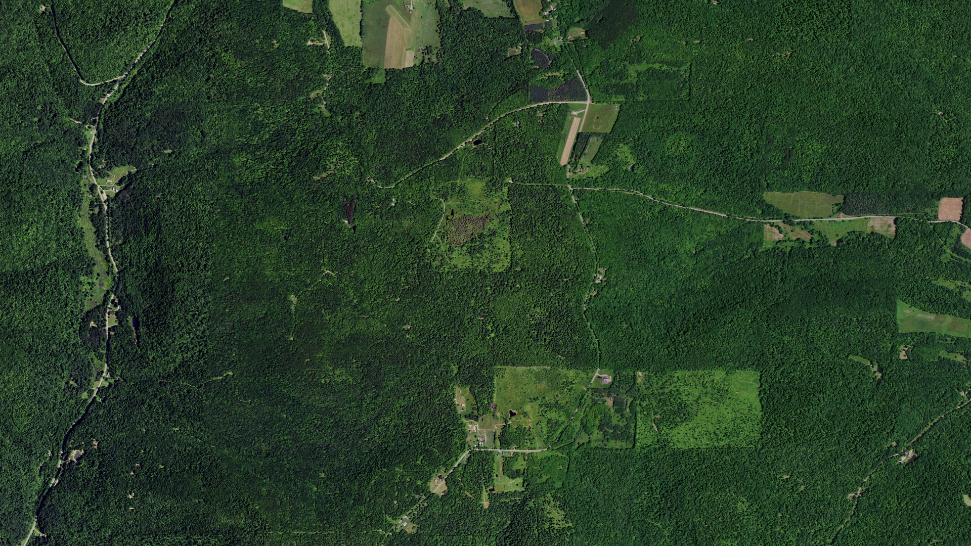 Natural-color aerial photograph of land around Alma, New York
