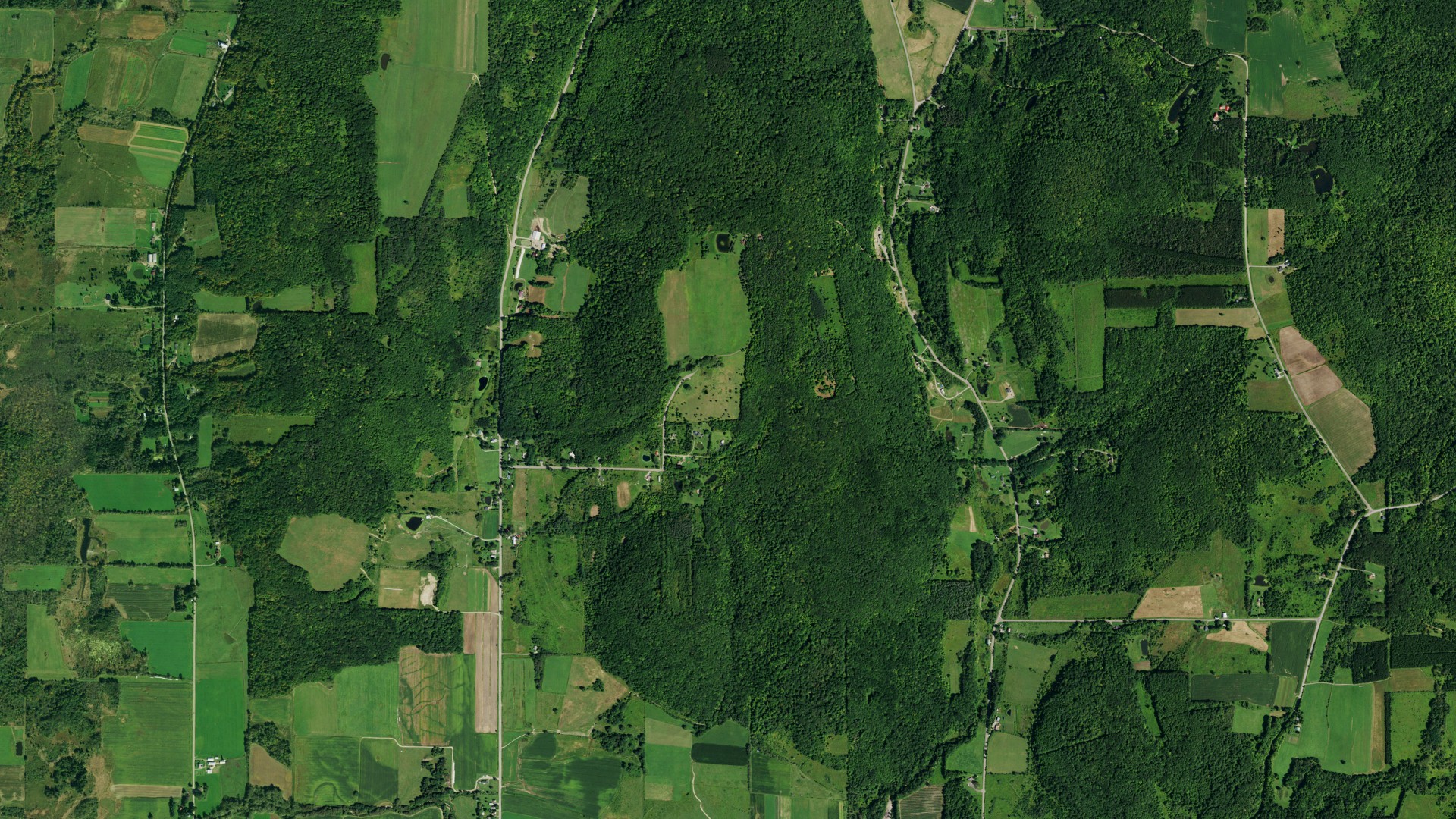 Aerial view of land around East Otto, New York