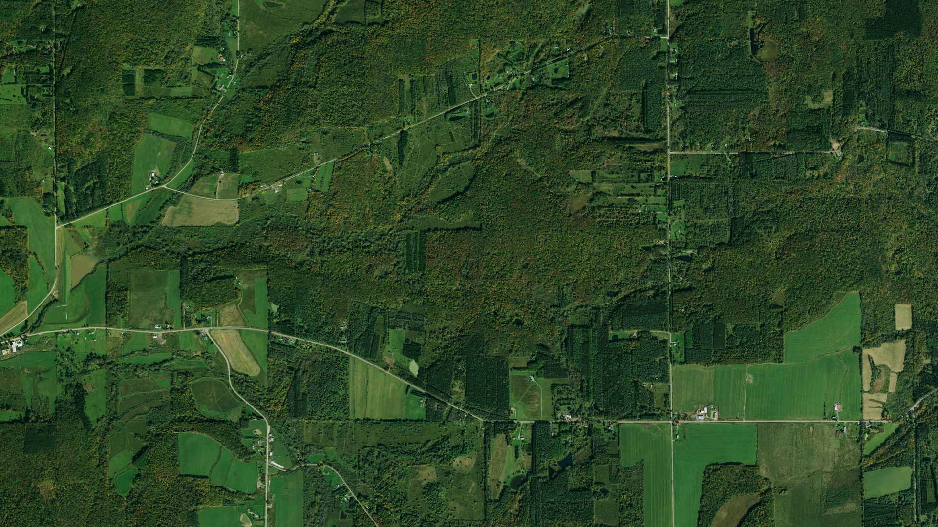 Natural-color aerial photograph of land around Lyndon, New York
