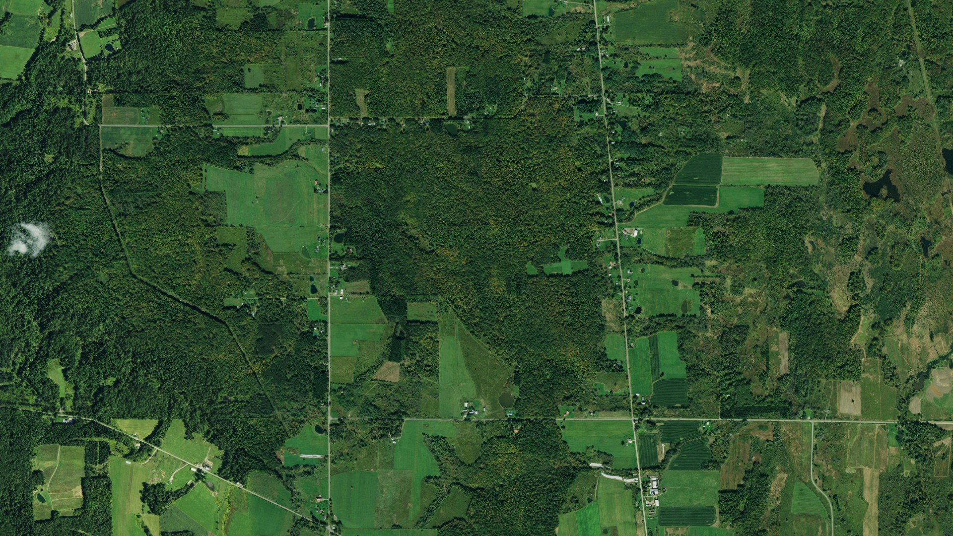 Aerial view of land around Otto, New York