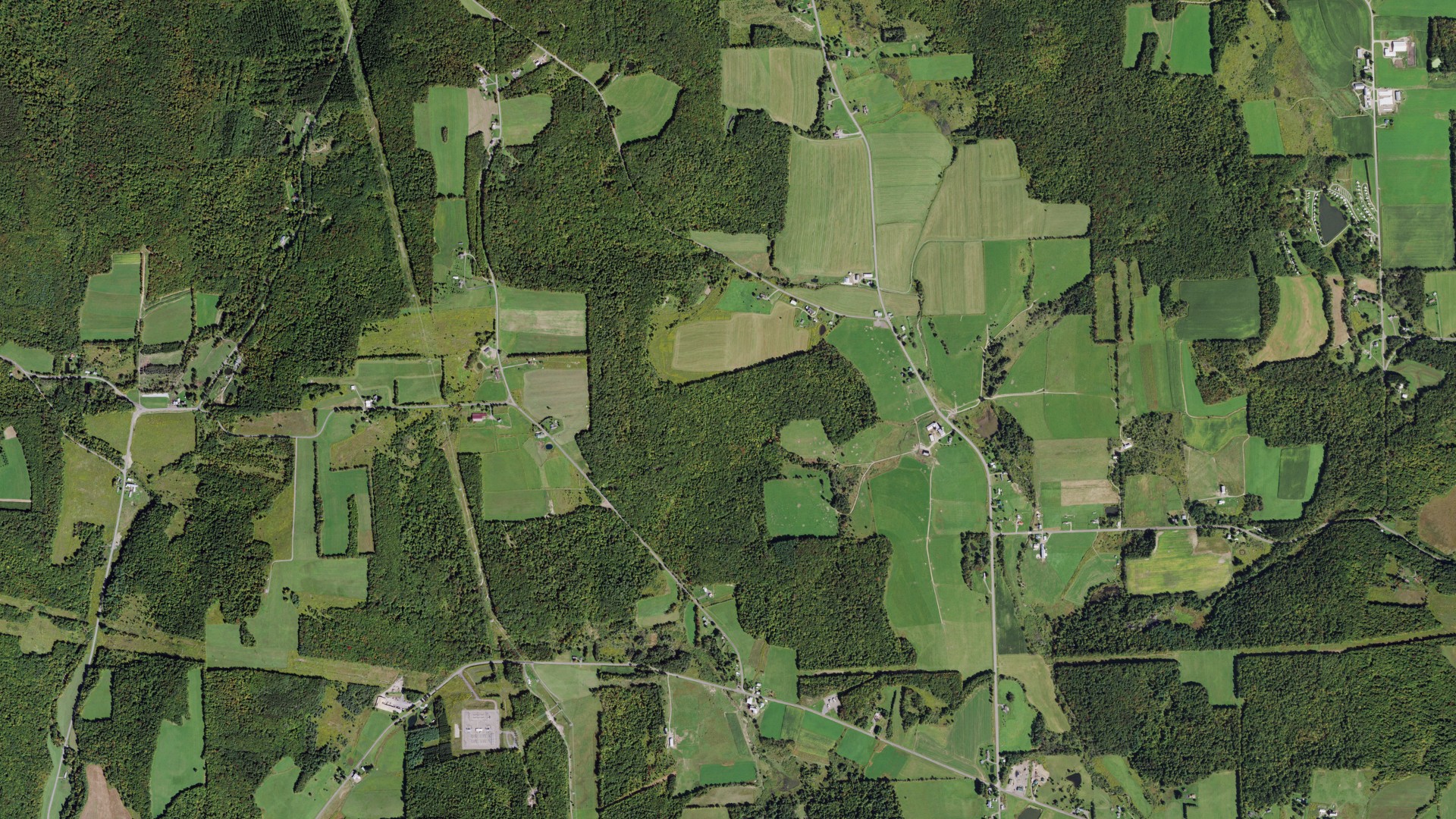 Natural-color aerial photograph of land around Lapeer, New York