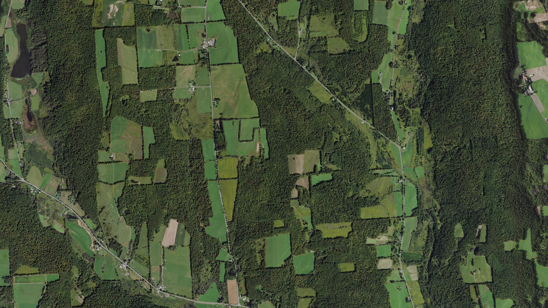 Aerial view of land around Taylor, New York