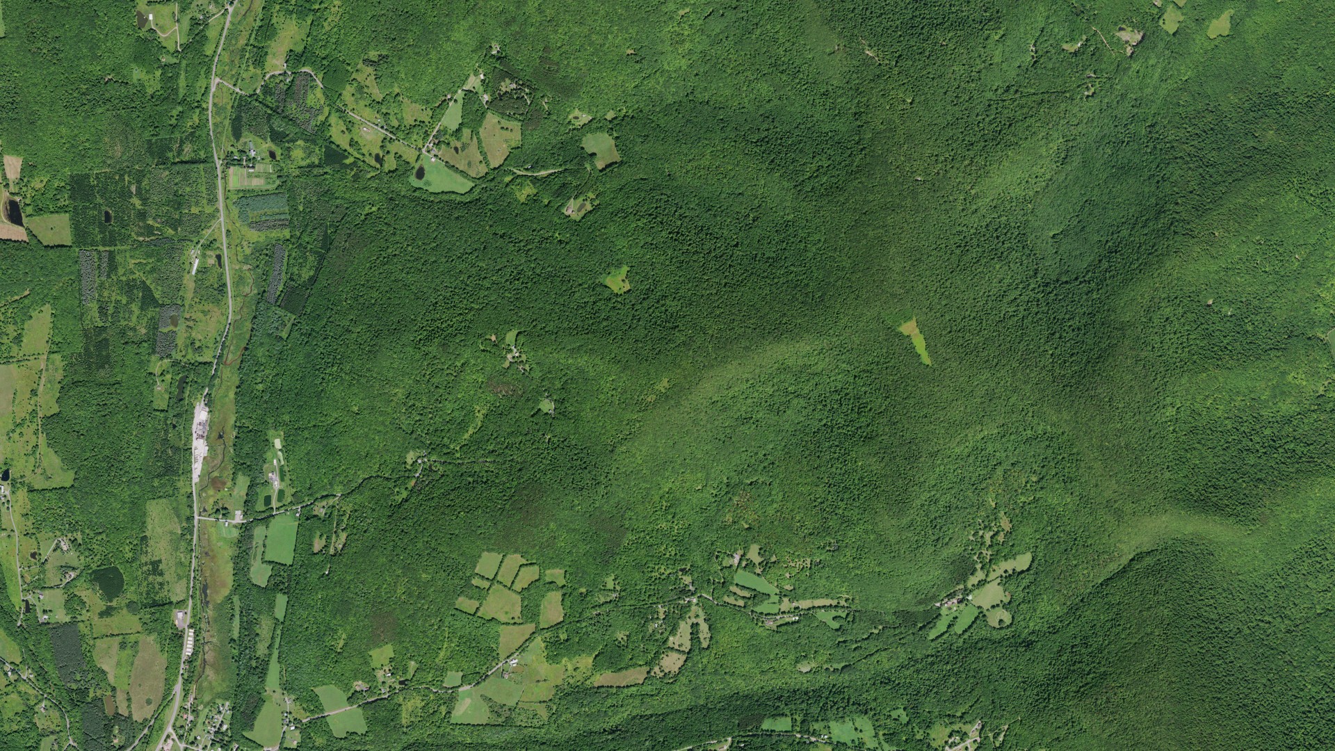 Natural-color aerial photograph of land around Roxbury, New York