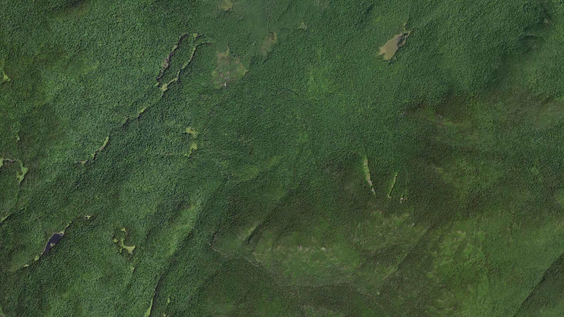Natural-color aerial photograph of land around North Elba, New York