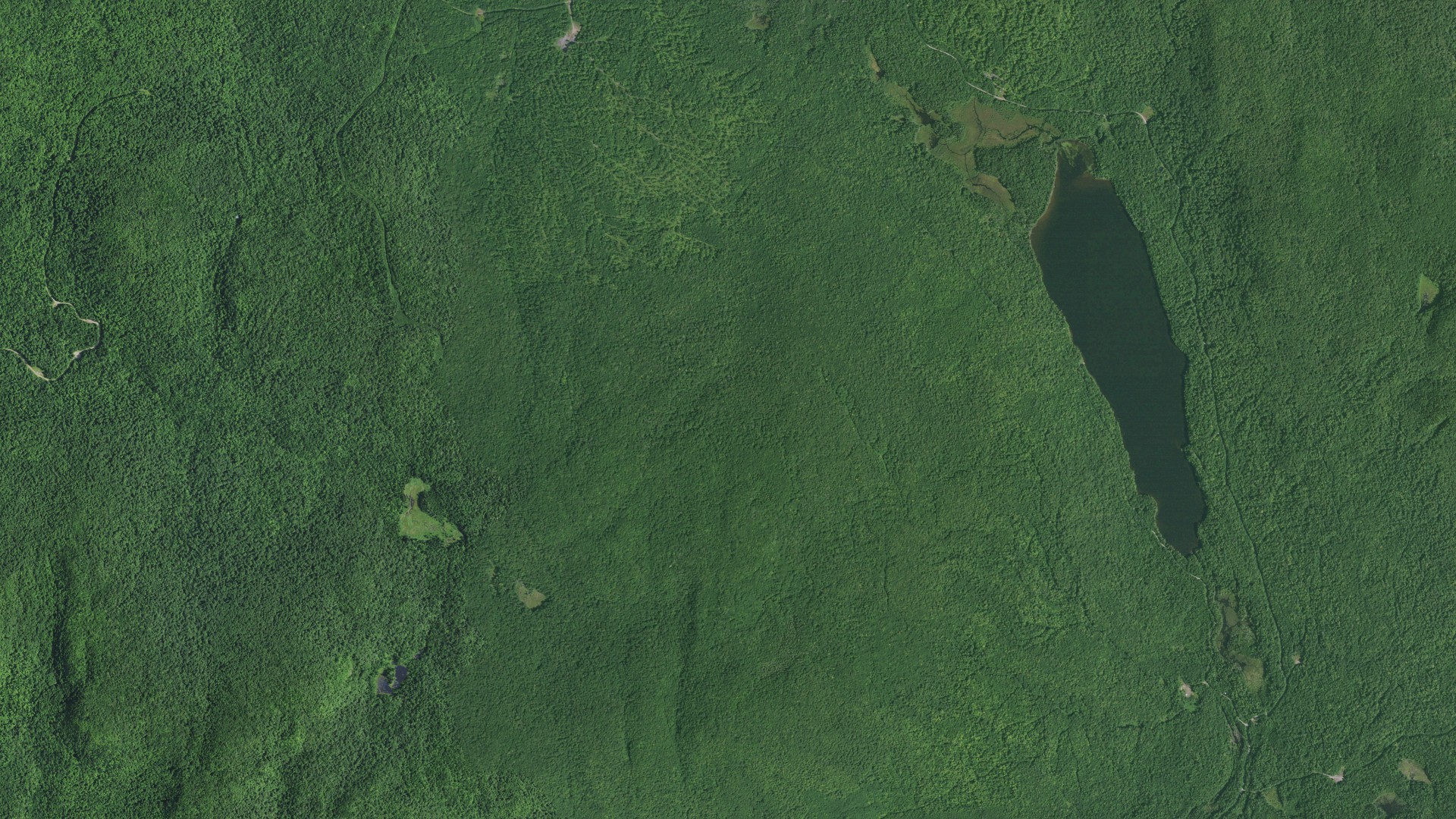Aerial view of land around Bellmont, New York