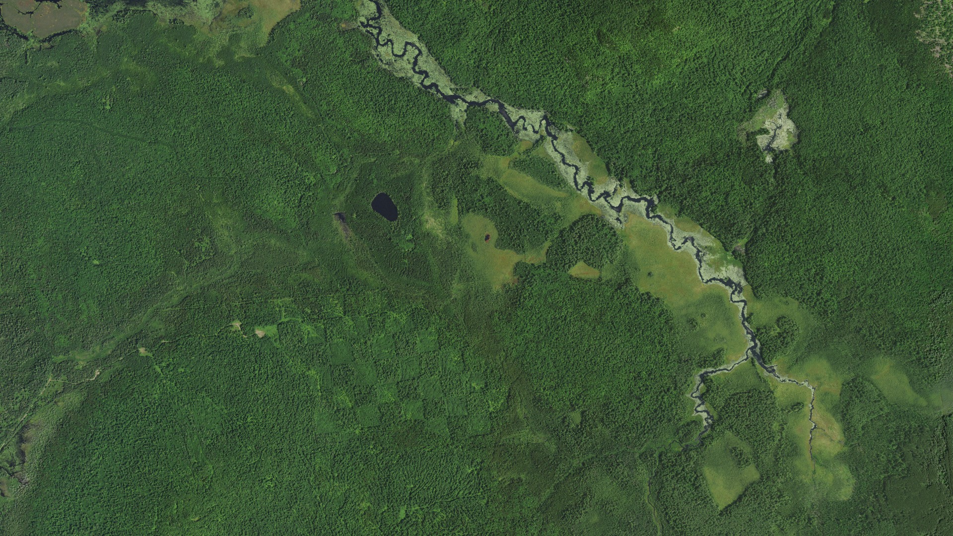 Natural-color aerial photograph of land around Santa Clara, New York