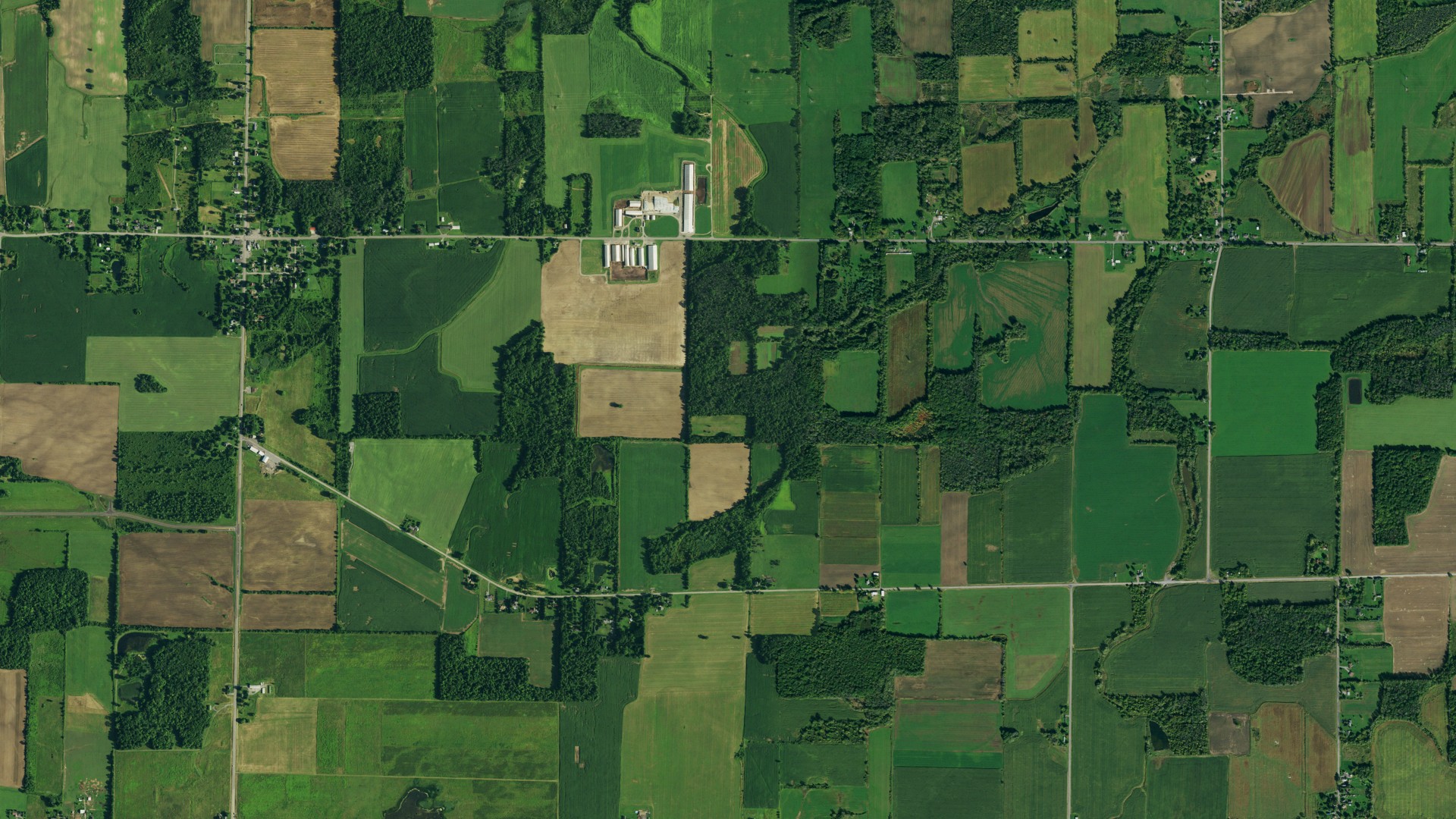 Natural-color aerial photograph of land around Alabama, New York