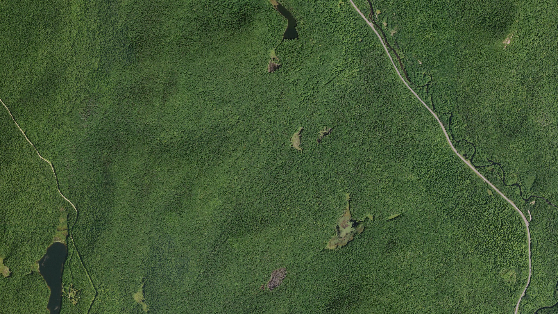 Aerial view of land around Wells, New York