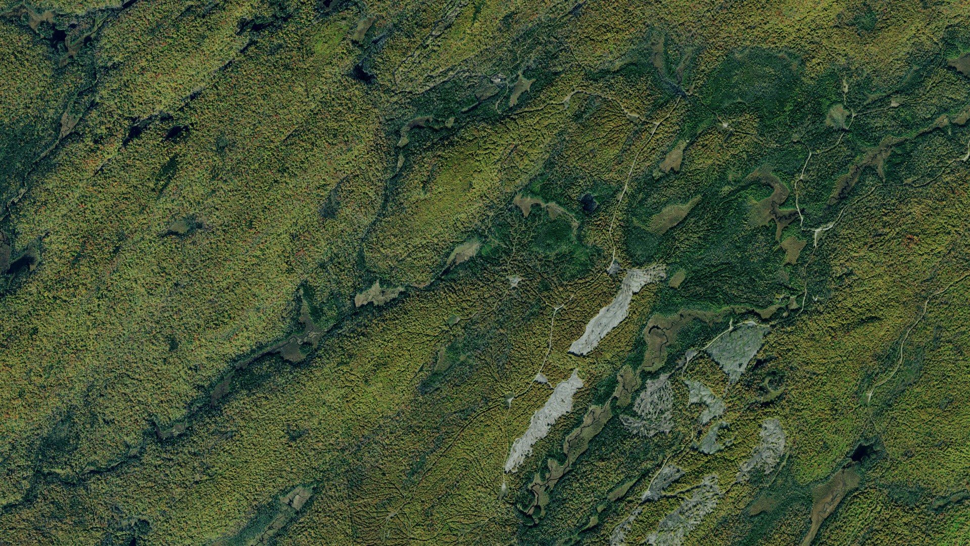 Aerial view of land around Webb, New York