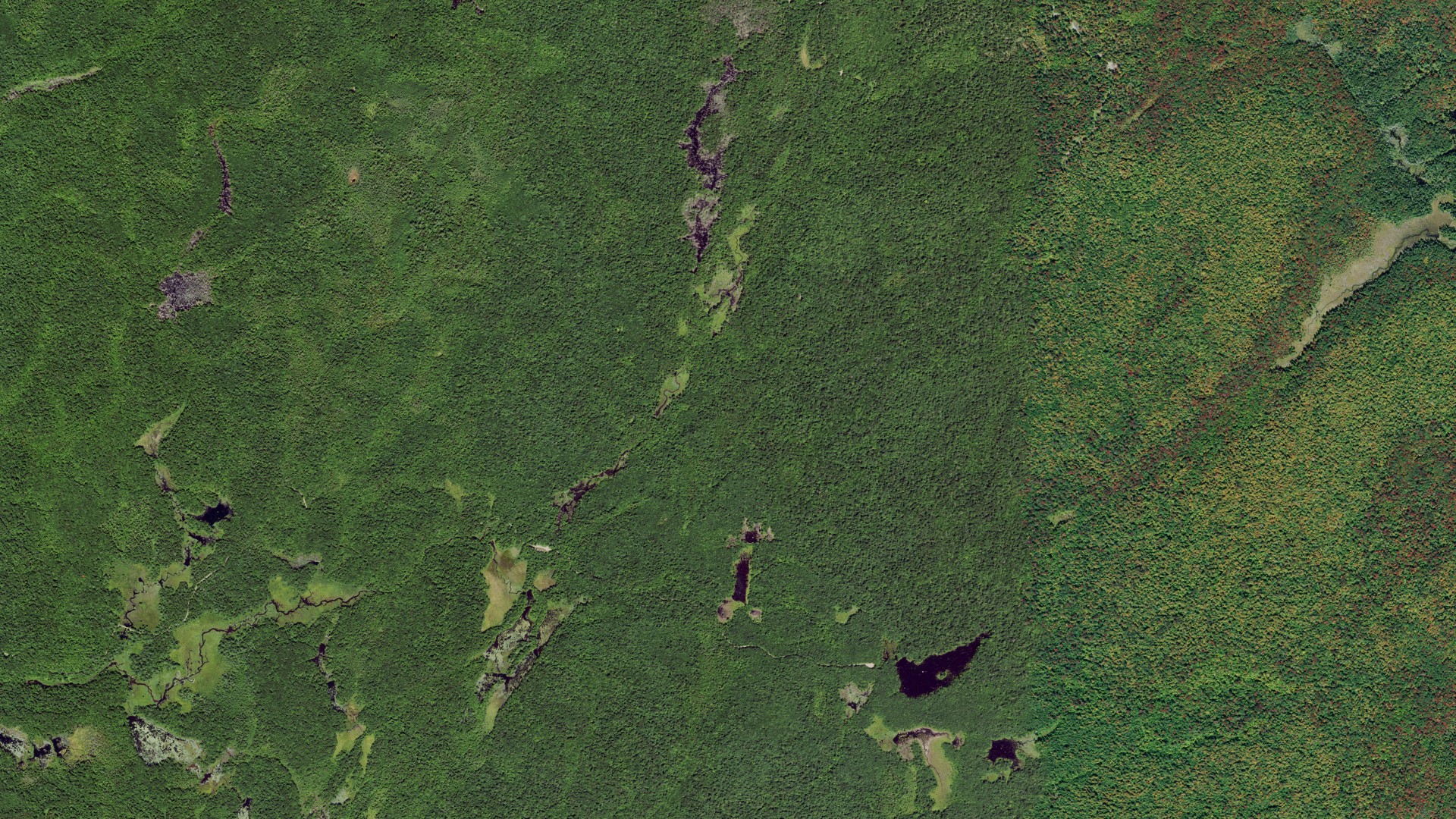 Natural-color aerial photograph of land around Greig, New York
