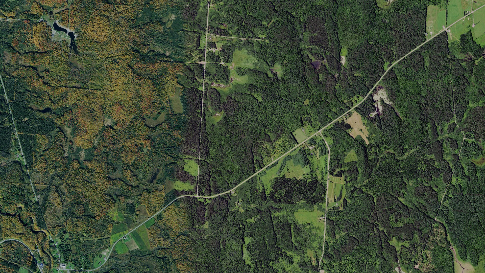 Aerial view of land around Pinckney, New York