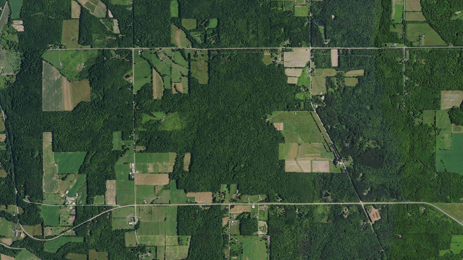 Natural-color aerial photograph of land around Nunda, New York