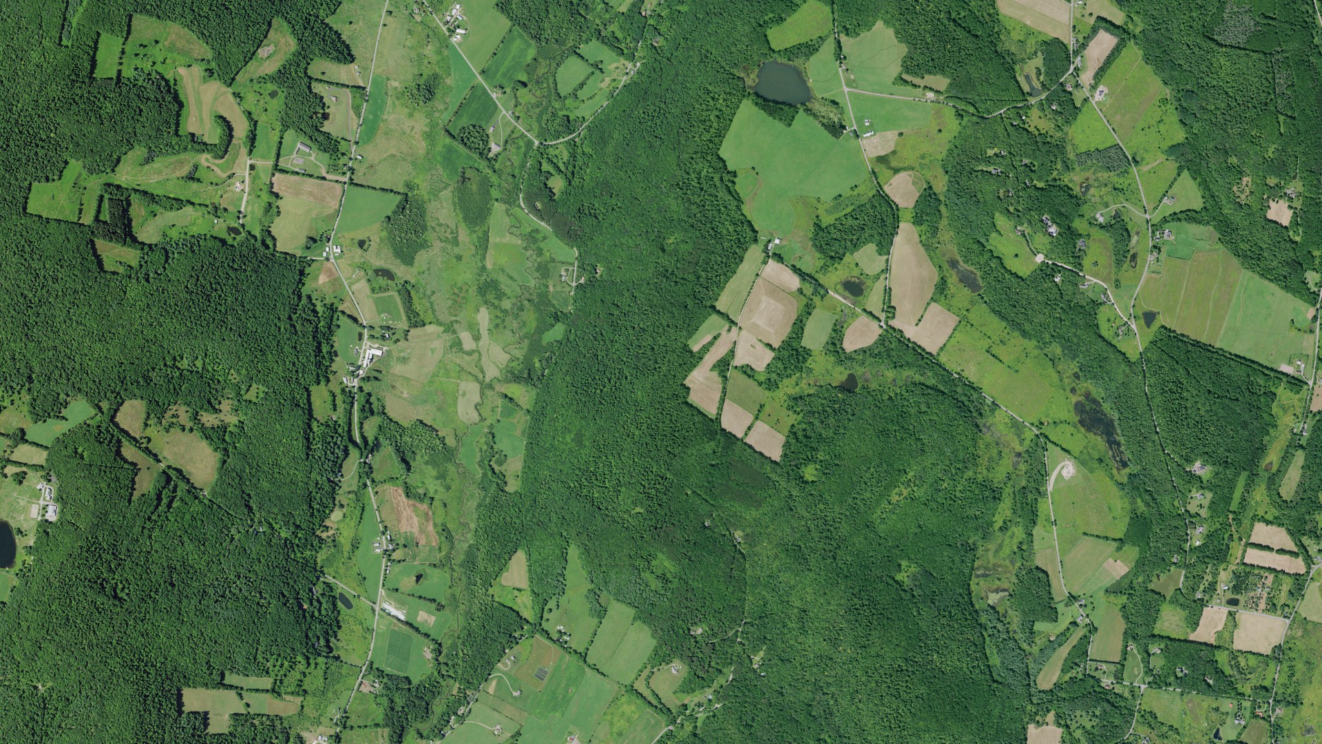 Natural-color aerial photograph of land around Otsego, New York