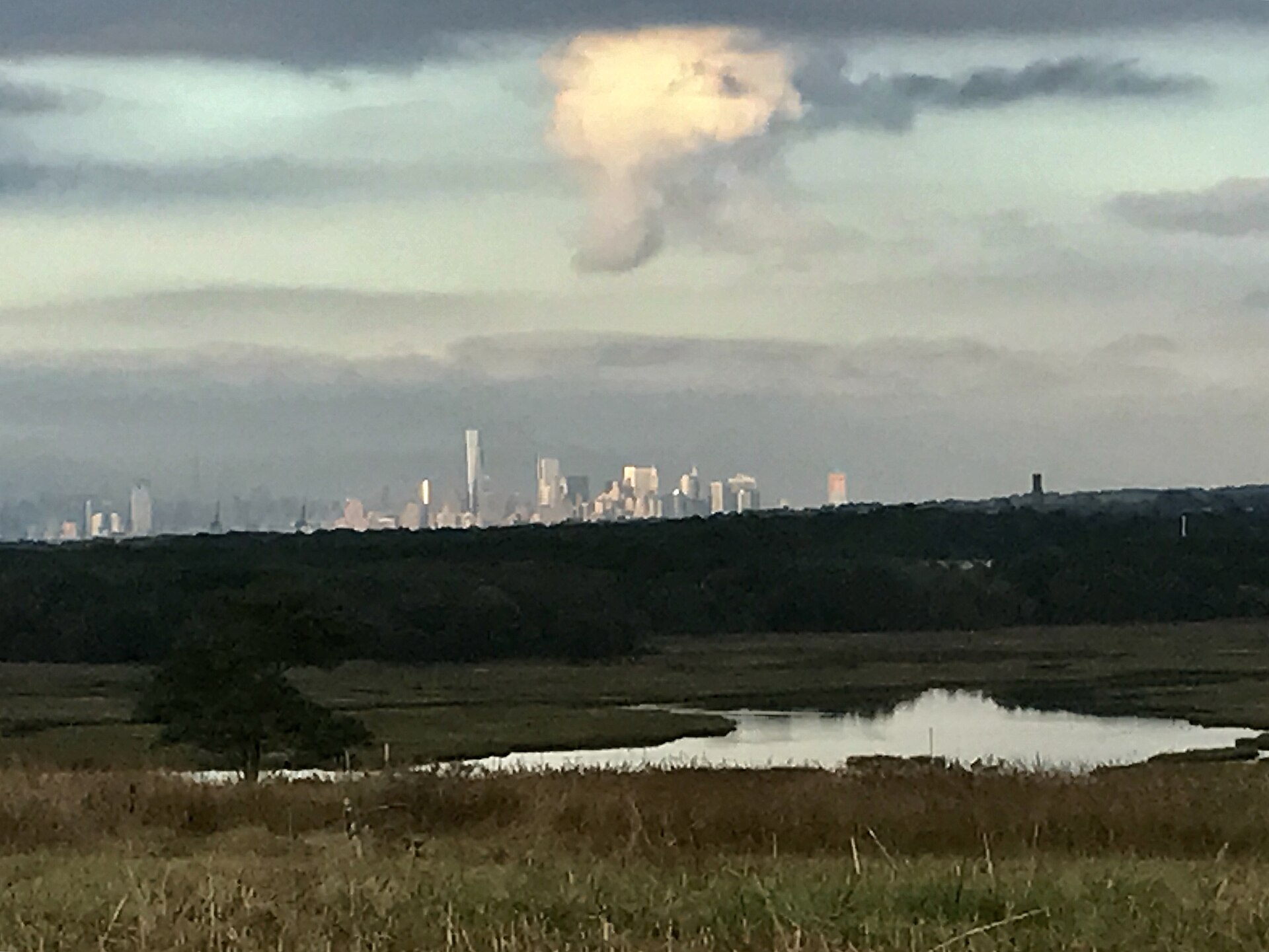 Site: Fresh Kills Park — Richmond County, New York