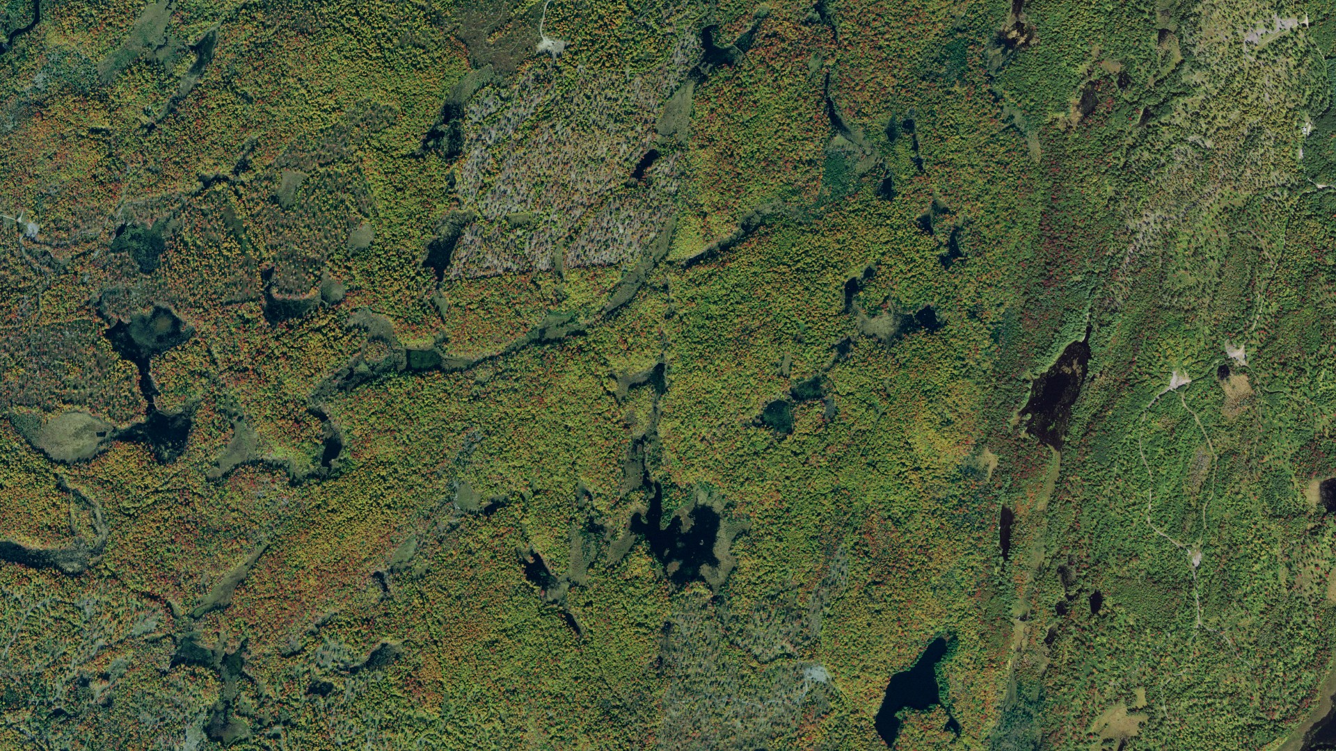 Natural-color aerial photograph of land around Clare, New York