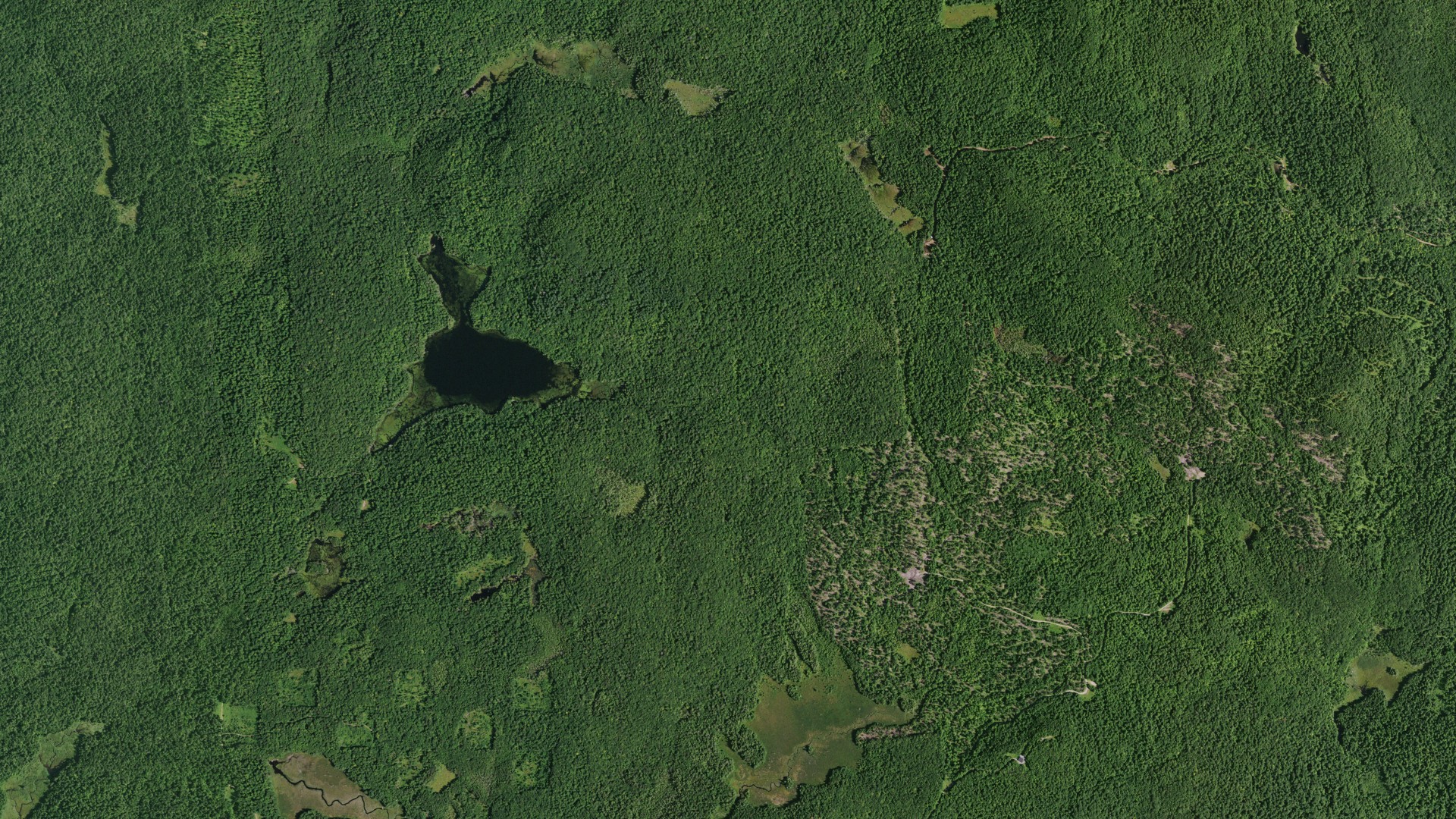 Natural-color aerial photograph of land around Corinth, New York