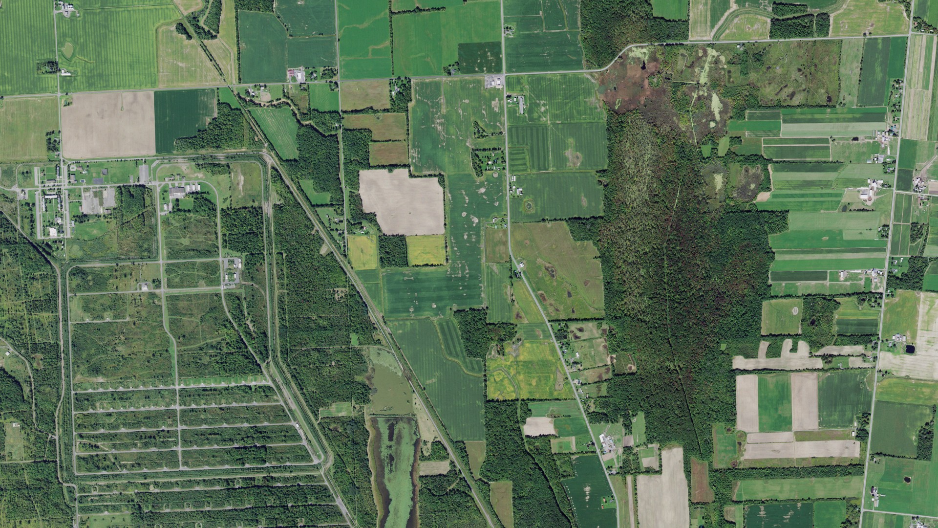 Aerial view of land around Varick, New York