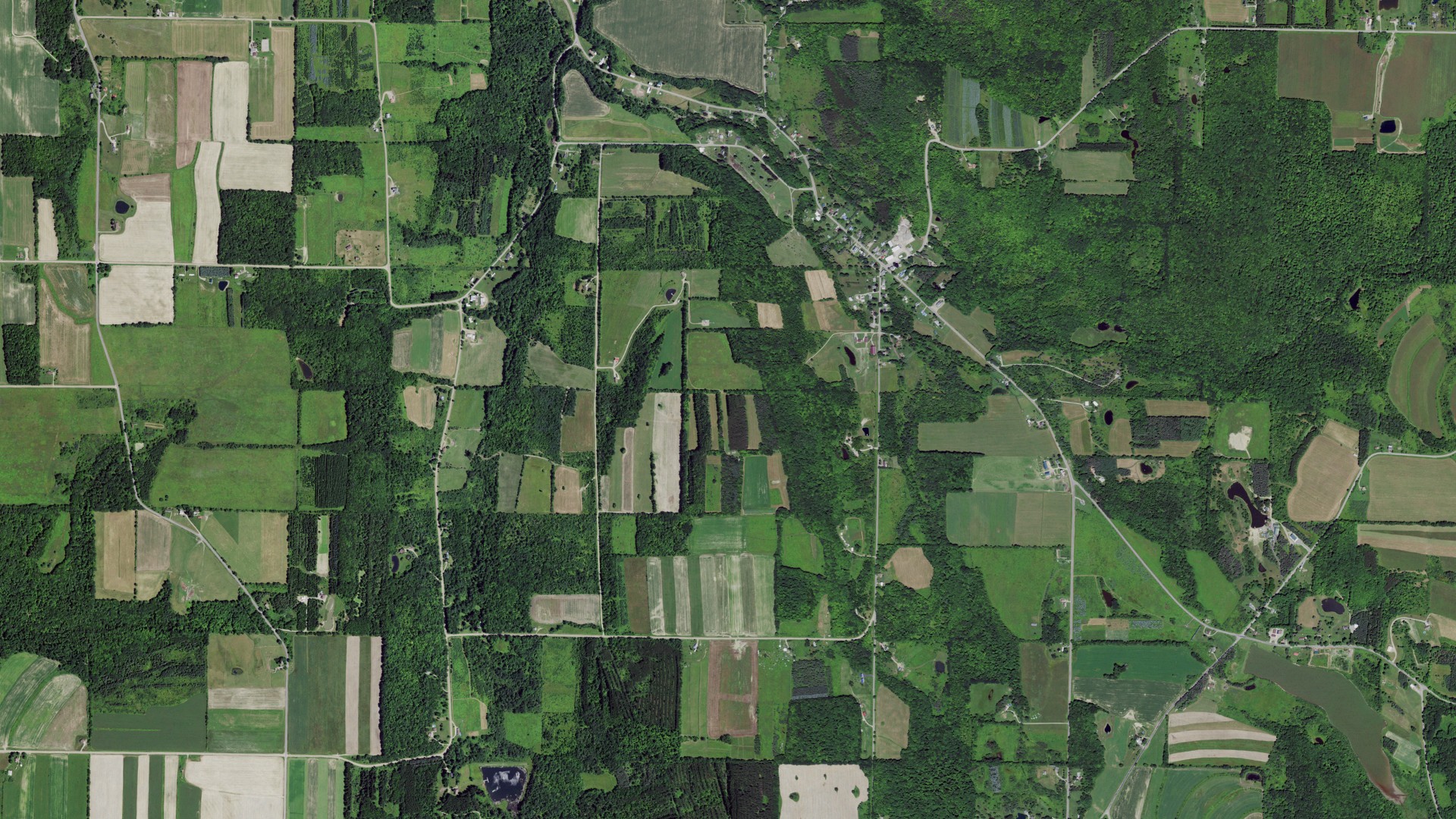 Natural-color aerial photograph of land around Dansville, New York