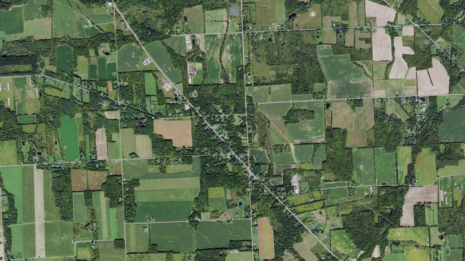 Natural-color aerial photograph of land around Ulysses, New York