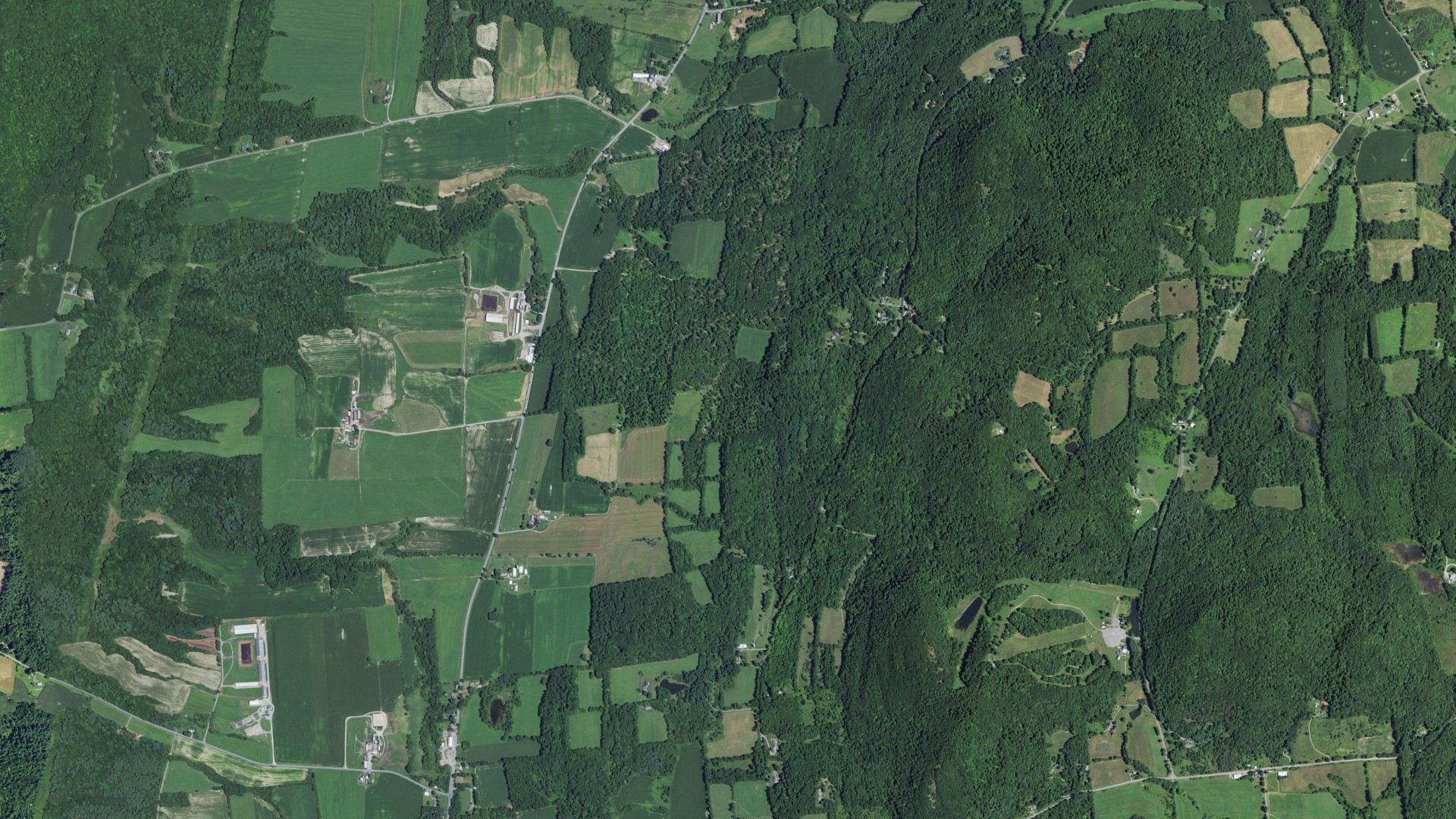 Natural-color aerial photograph of land around Easton, New York