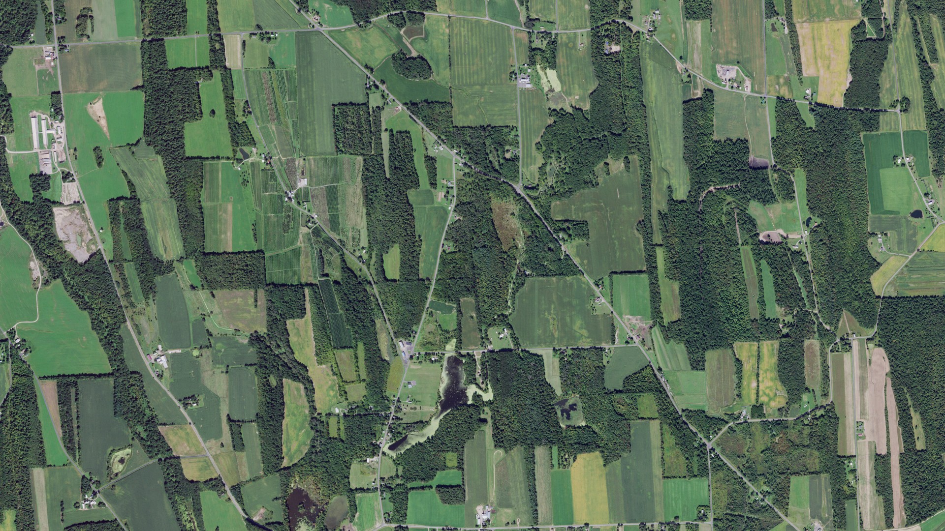 Natural-color aerial photograph of land around Butler, New York