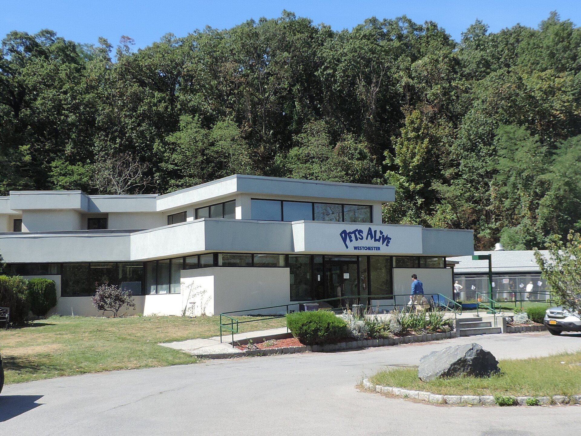 Looking northwest at animal shelter on a sunny midday. — Elmsford, New York
